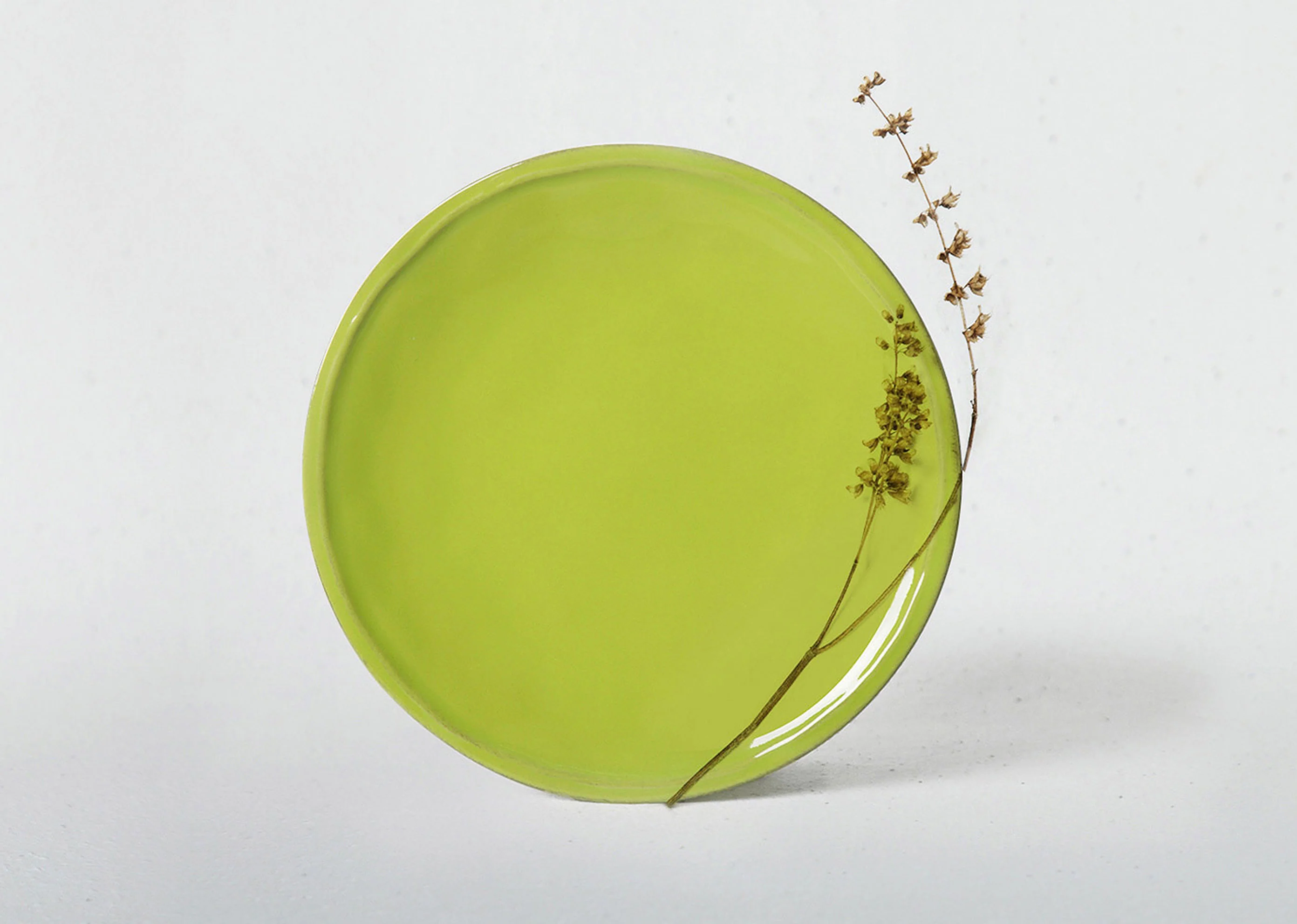 Aguada Quarter Plate - Lime - Image 3