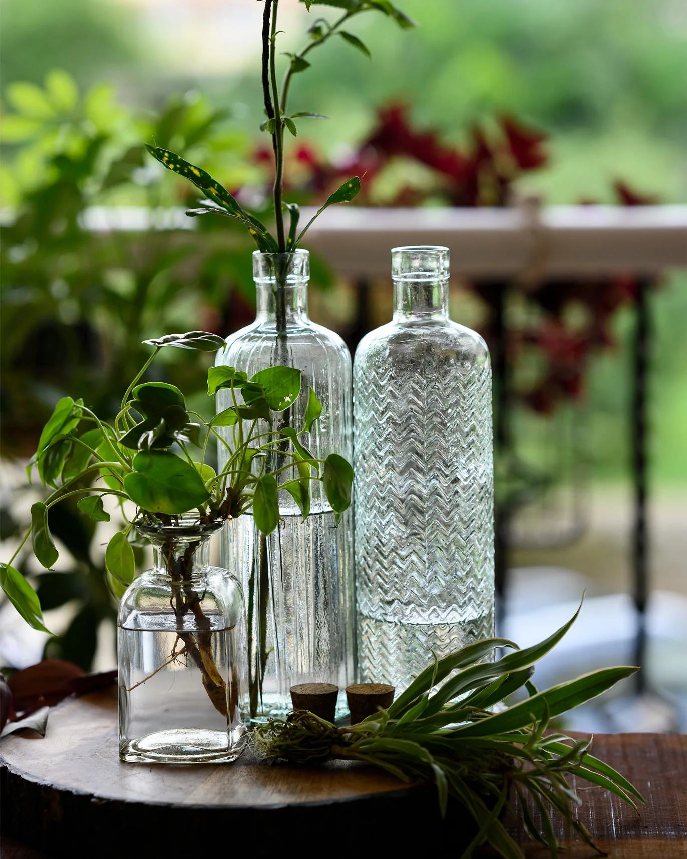 Aire Bottle (Set of 2) - Image 2