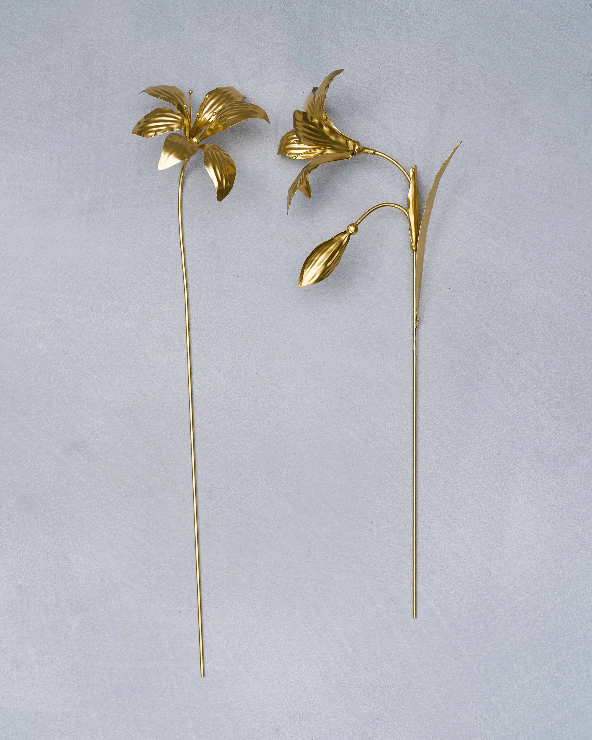 Amaryllis Accent Piece Set - Image 2