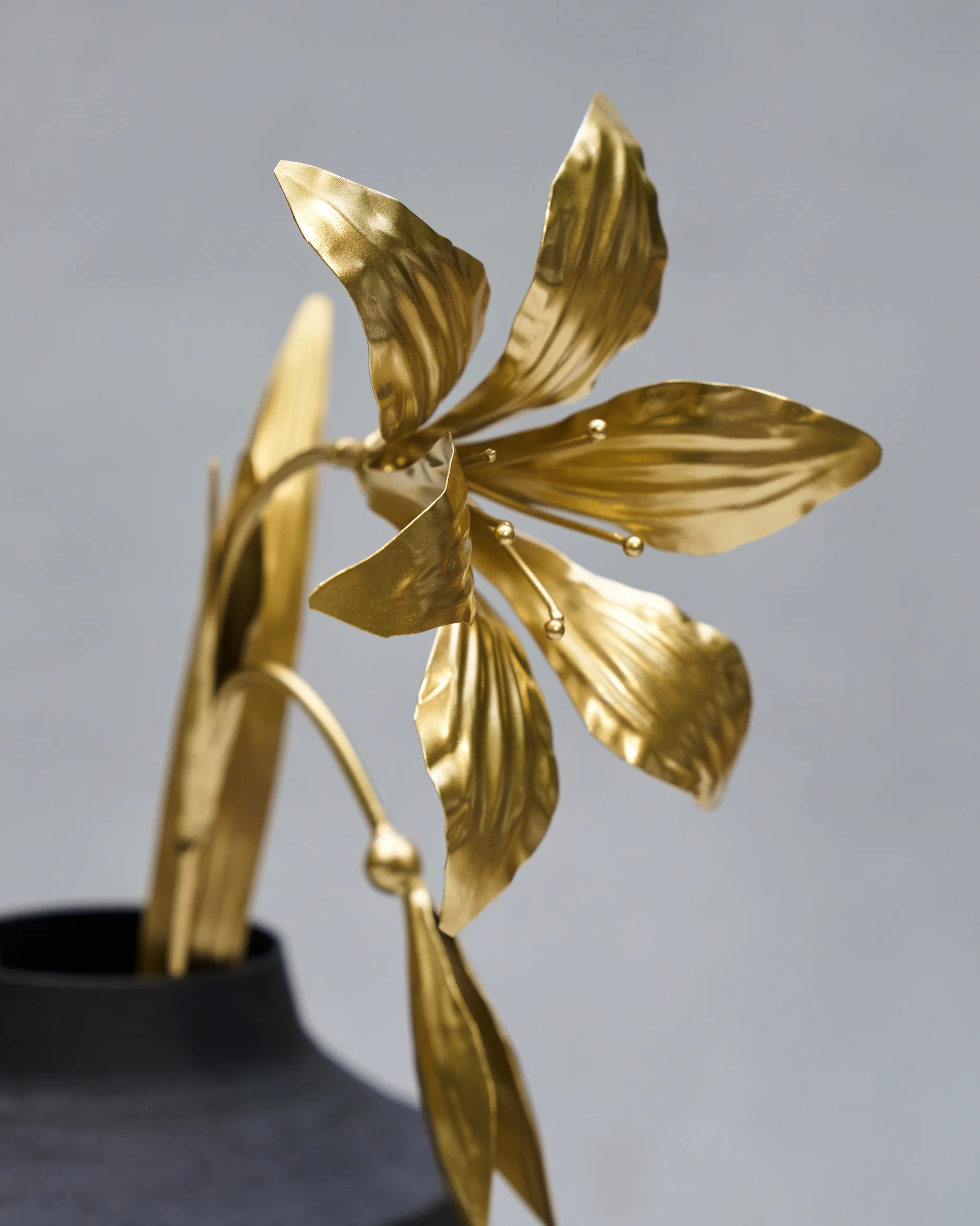 Amaryllis Accent Piece Set - Image 3