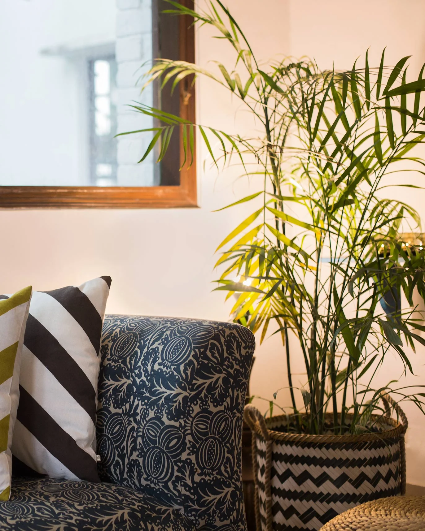 Bamboo Storage - Image 5
