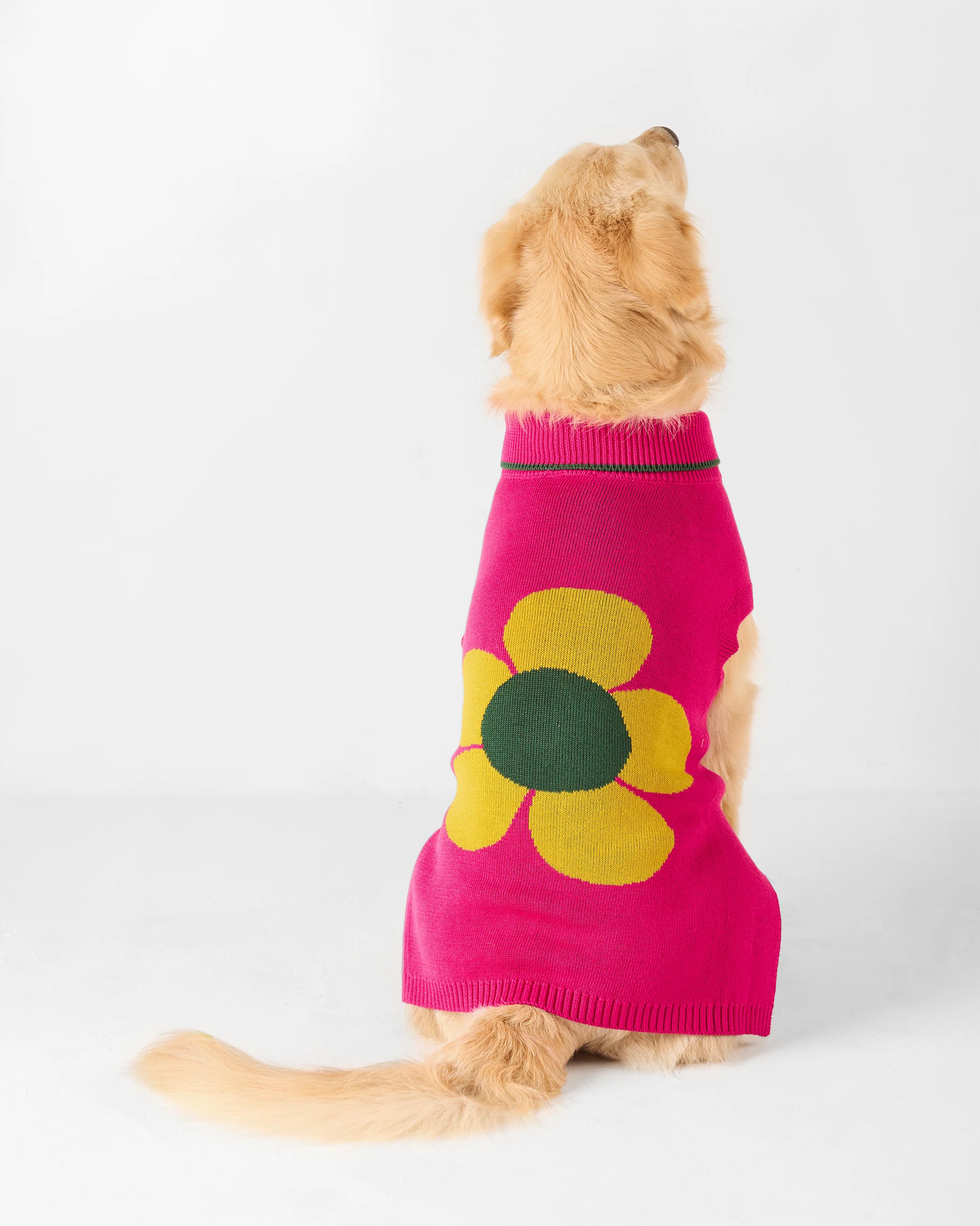 Bark Bloom Dog Sweater - Fuchsia - Image 10