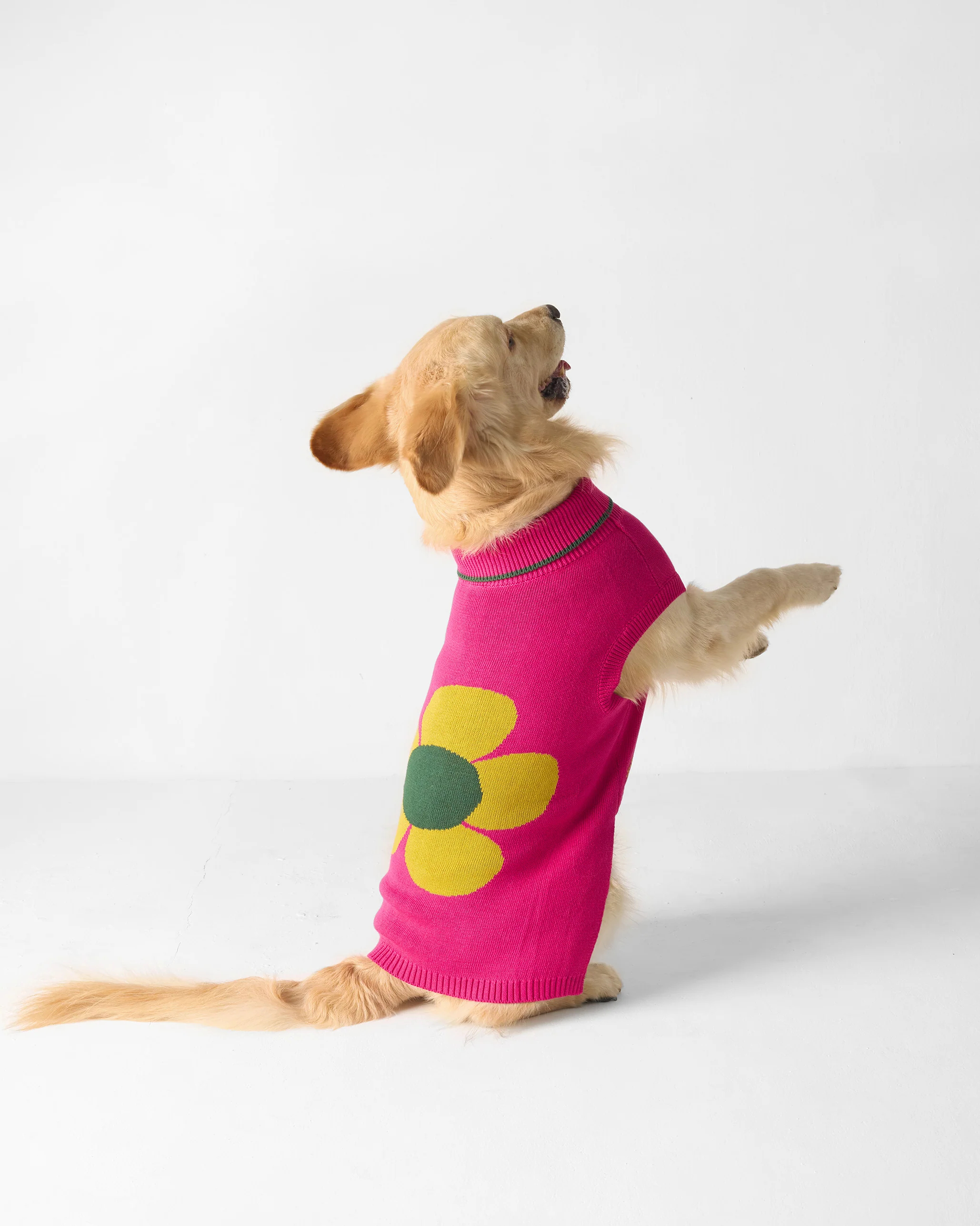 Bark Bloom Dog Sweater - Fuchsia - Image 5