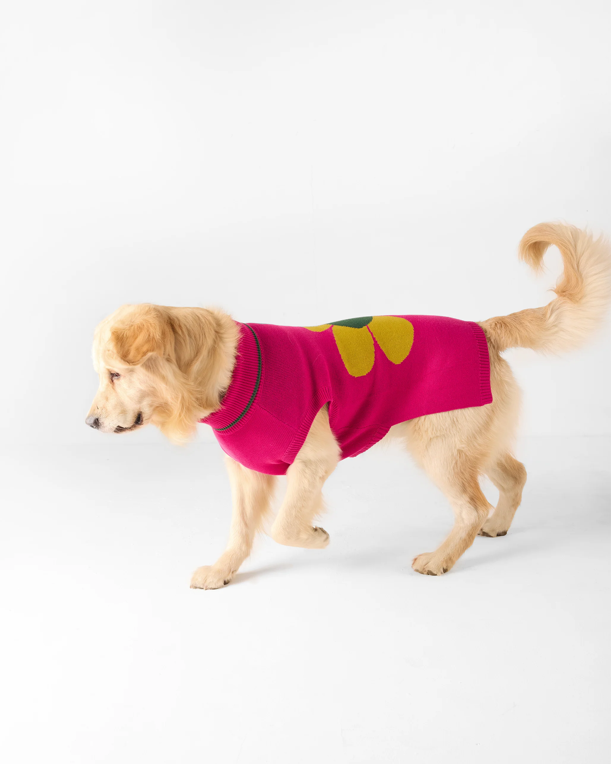 Bark Bloom Dog Sweater - Fuchsia - Image 6