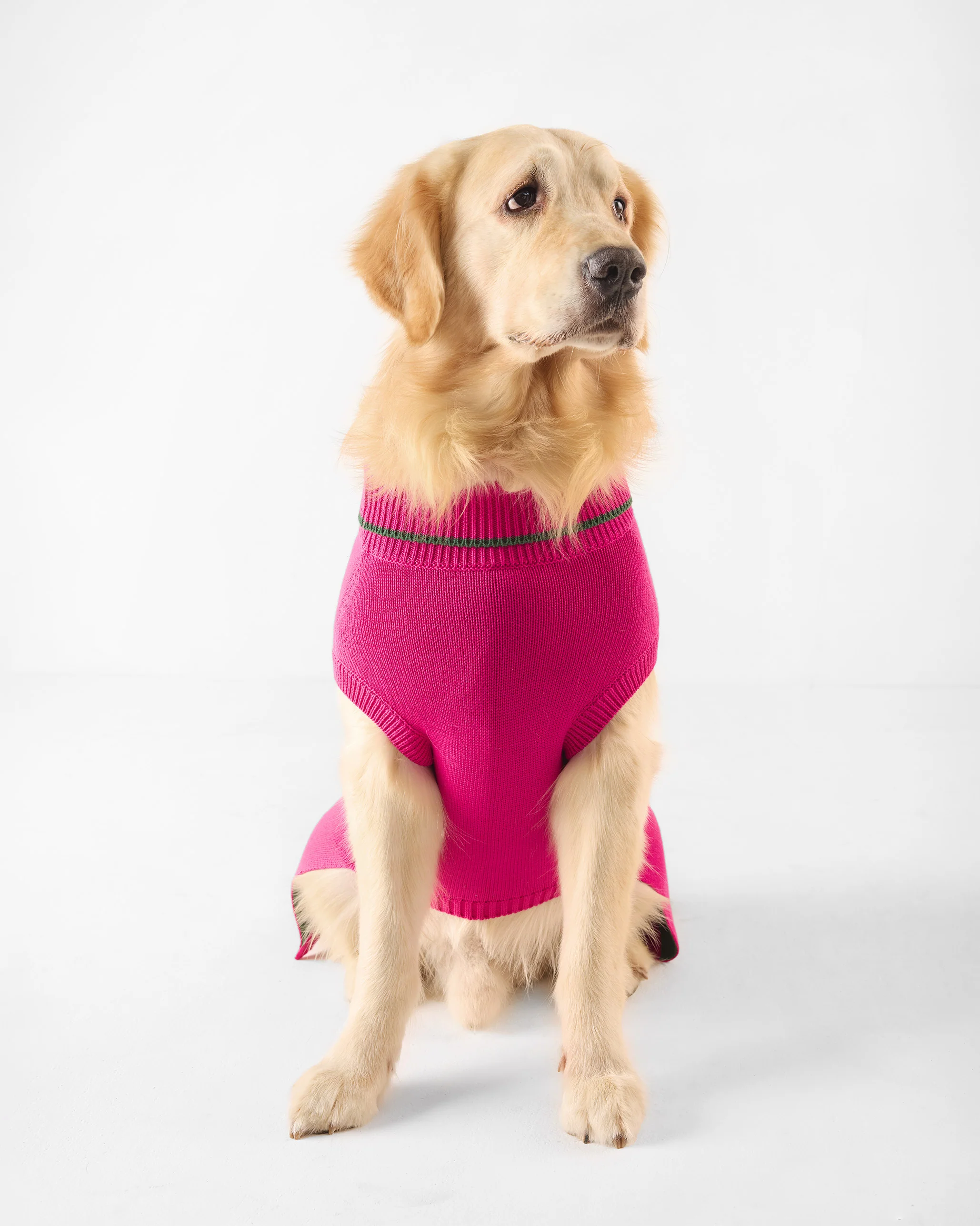 Bark Bloom Dog Sweater - Fuchsia - Image 8