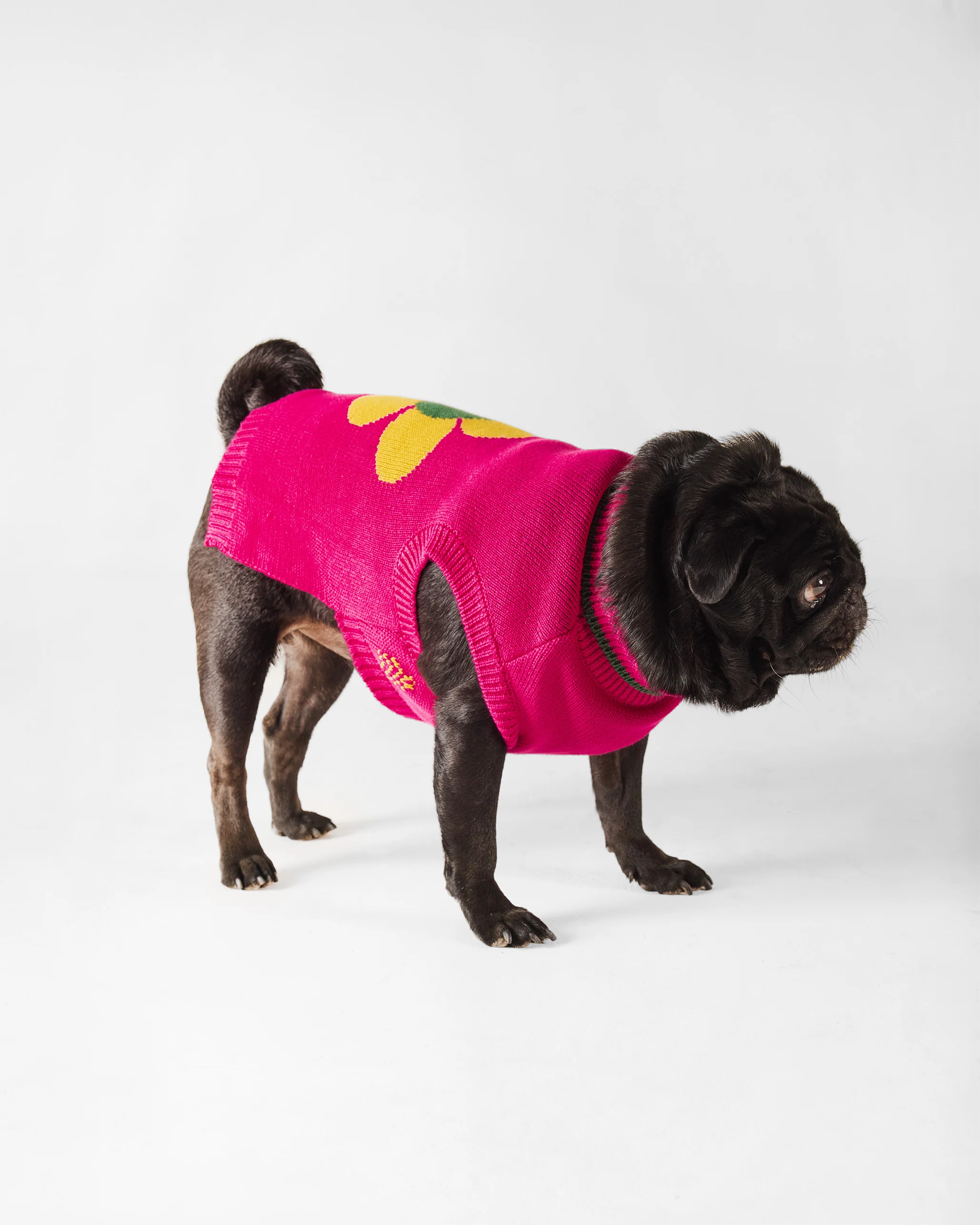 Bark Bloom Dog Sweater - Fuchsia - Image 9