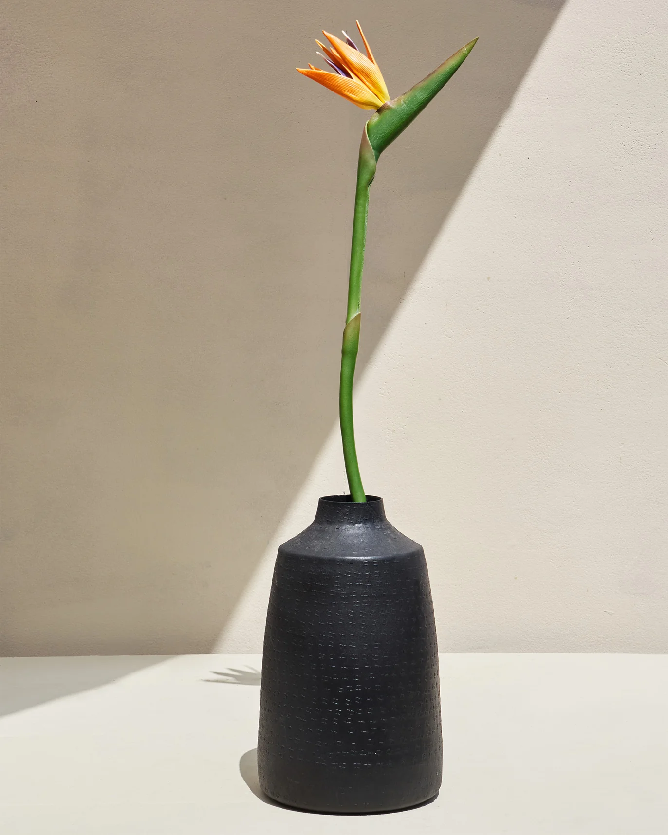 Bird of Paradise Flower - Image 2