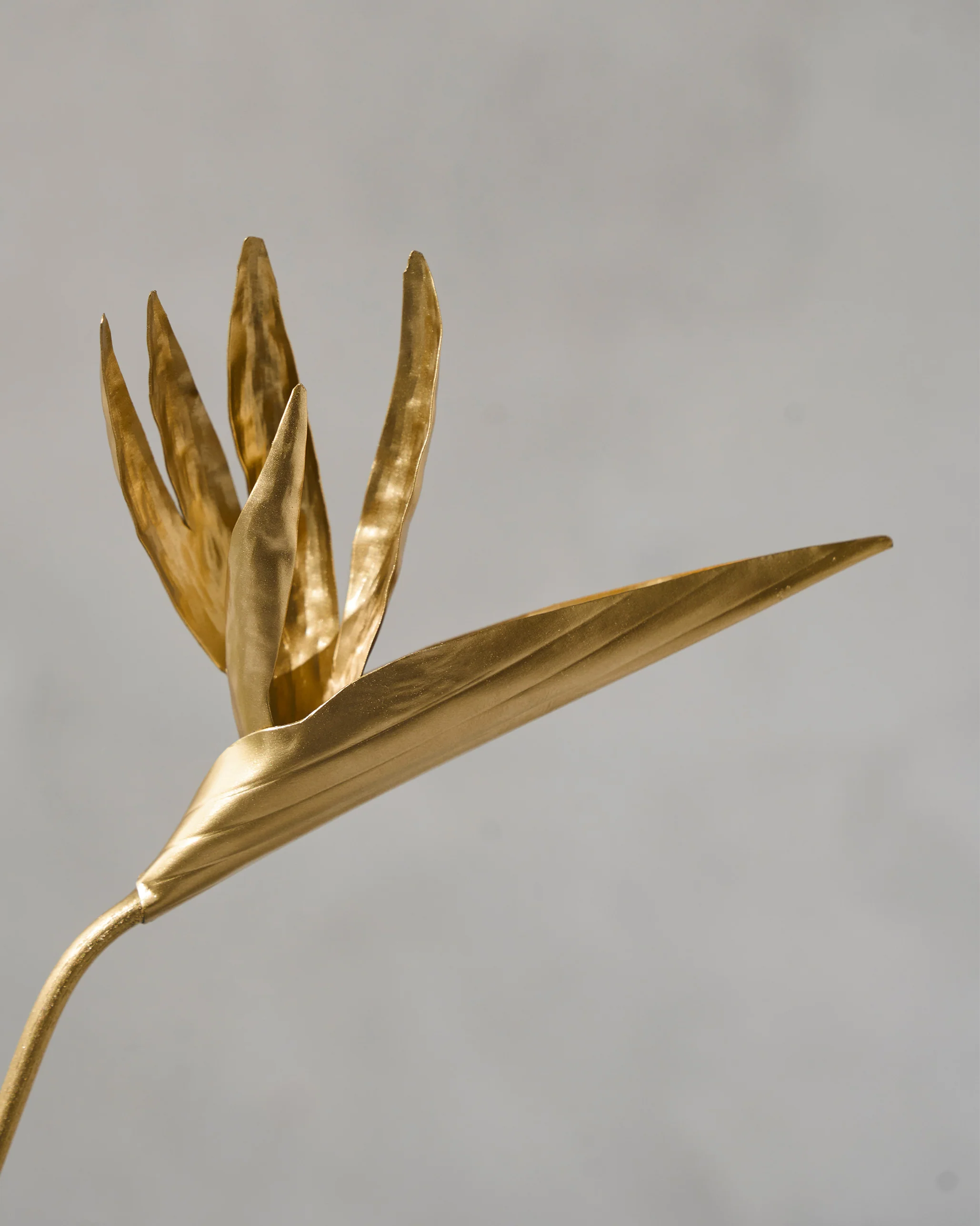 Bird of Paradise Home Accent - Gold - Image 2