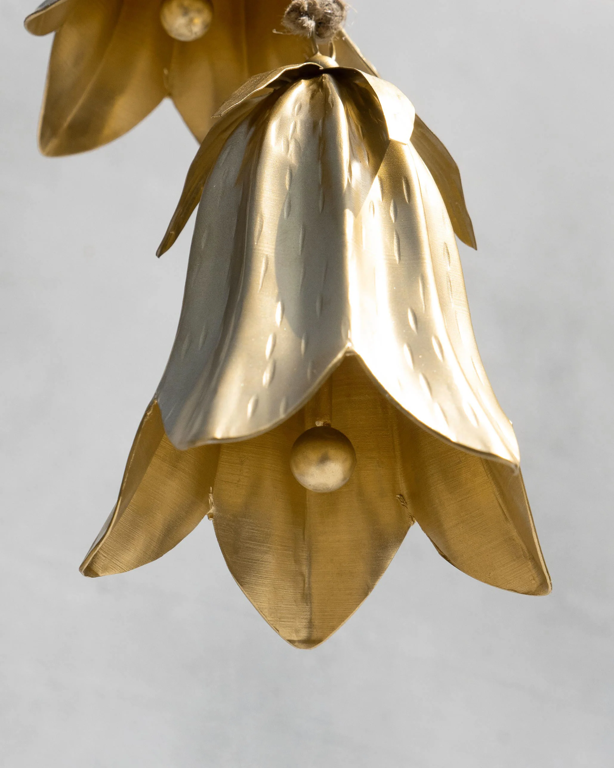 Botanical Bell - Image 5