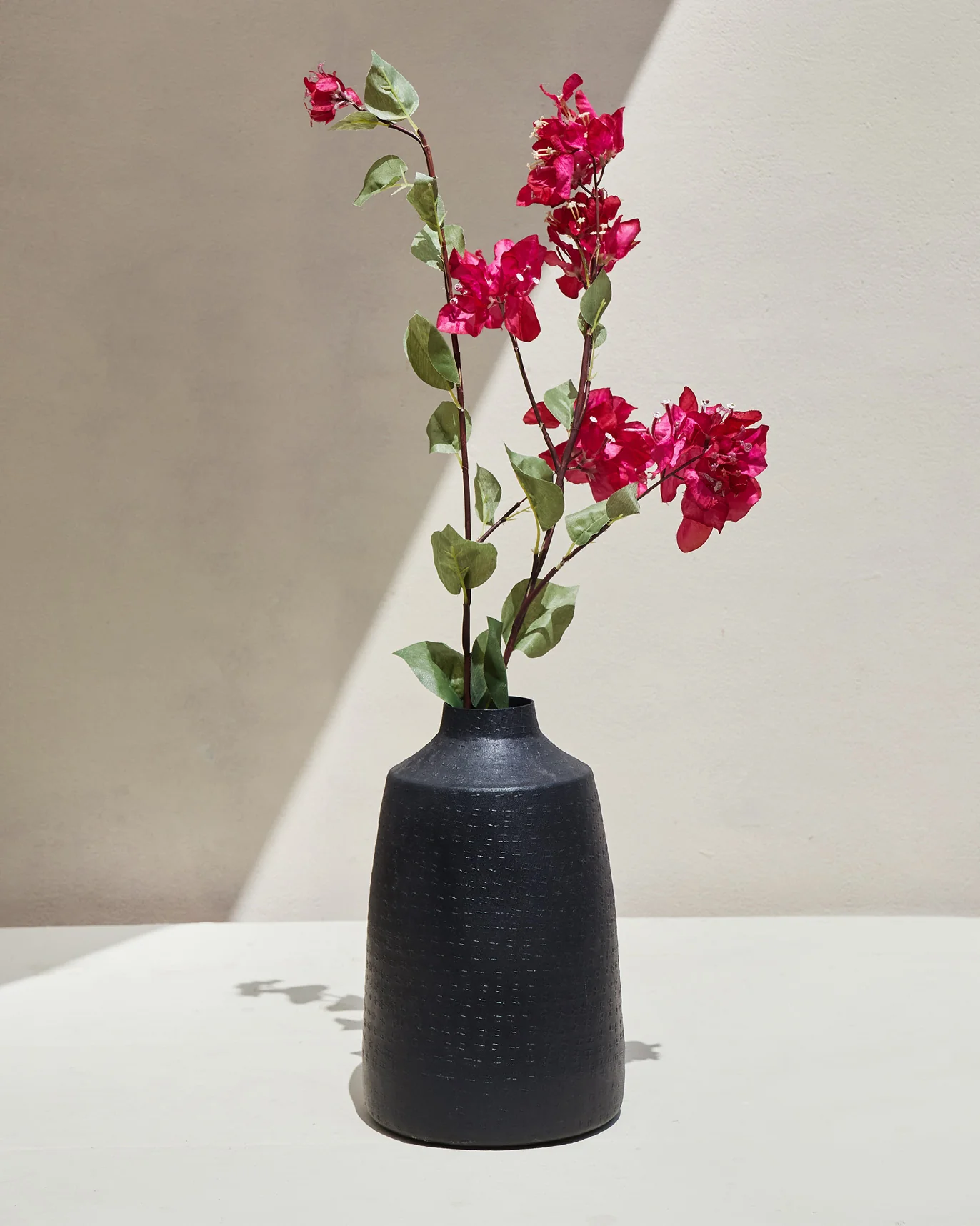 Bougainvillea Beauty Flower - Image 2