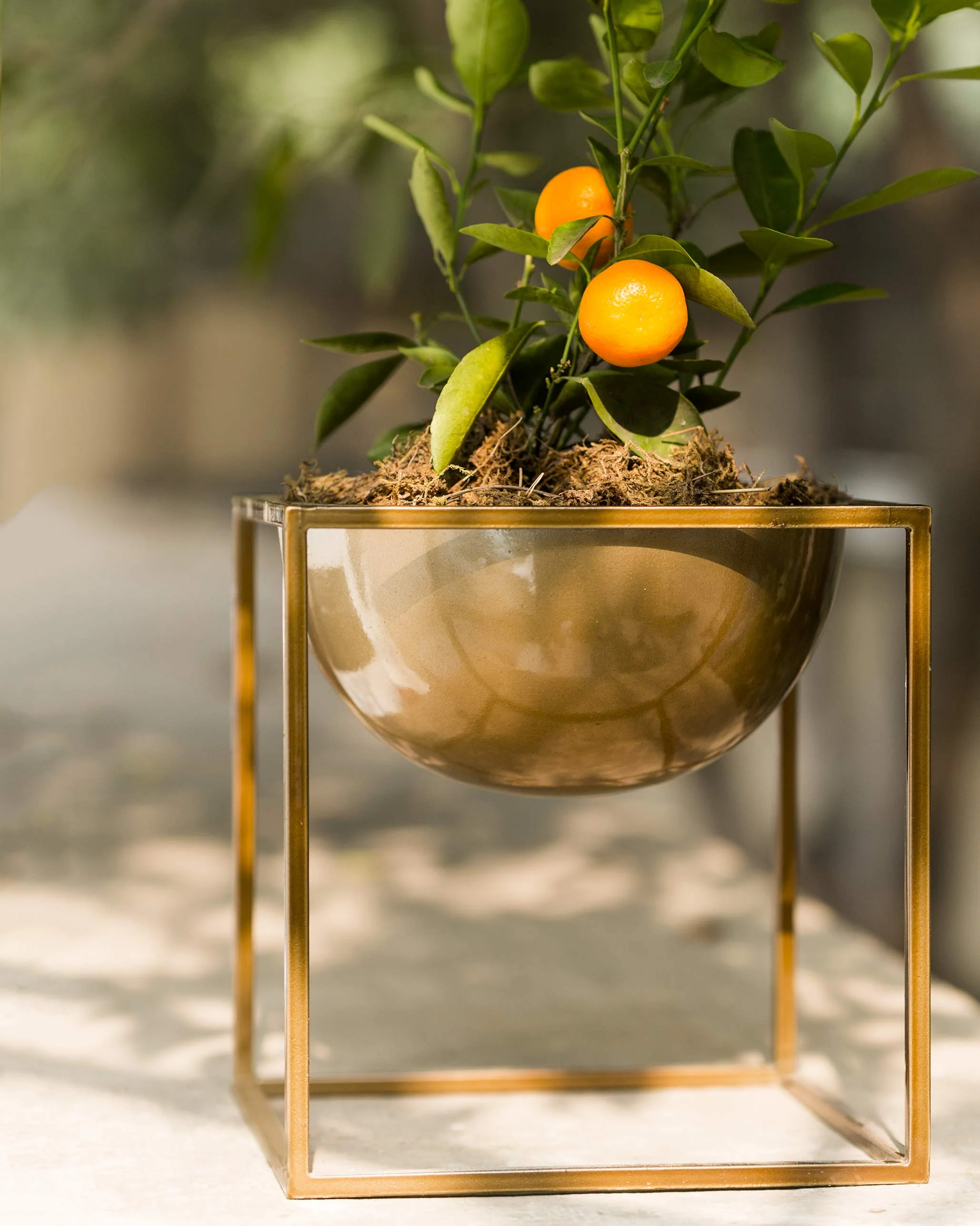 Brass Planter - Image 2