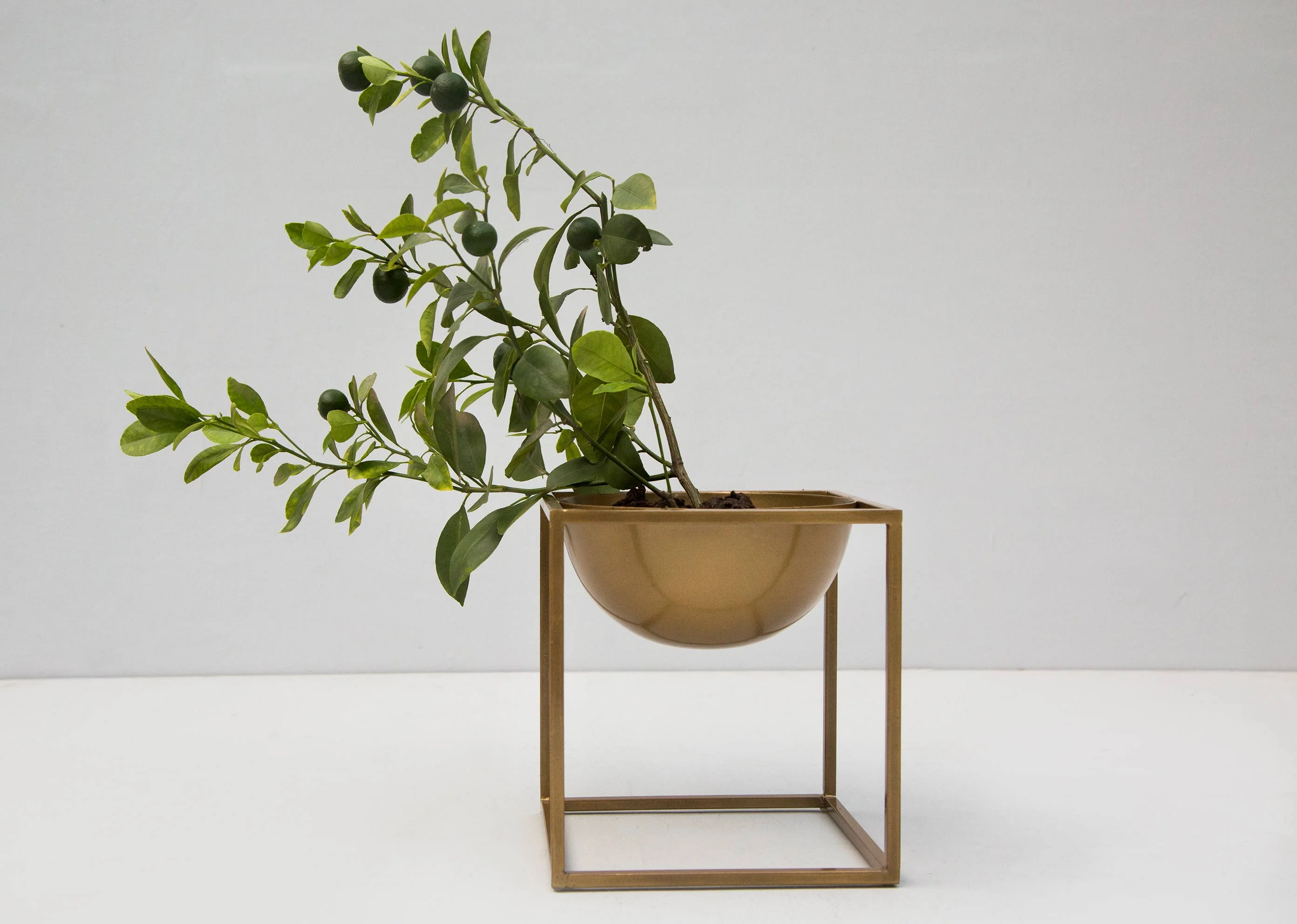 Brass Planter - Medium - Image 3