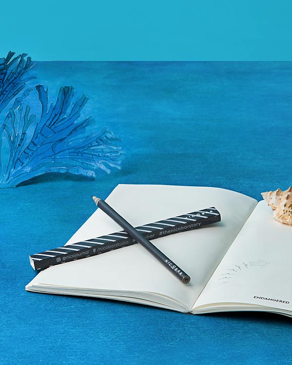 Candy Stripe Pencil (Set of 2) - Image 2