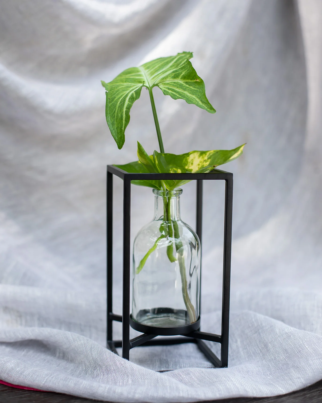 Carafe Planter - Image 2