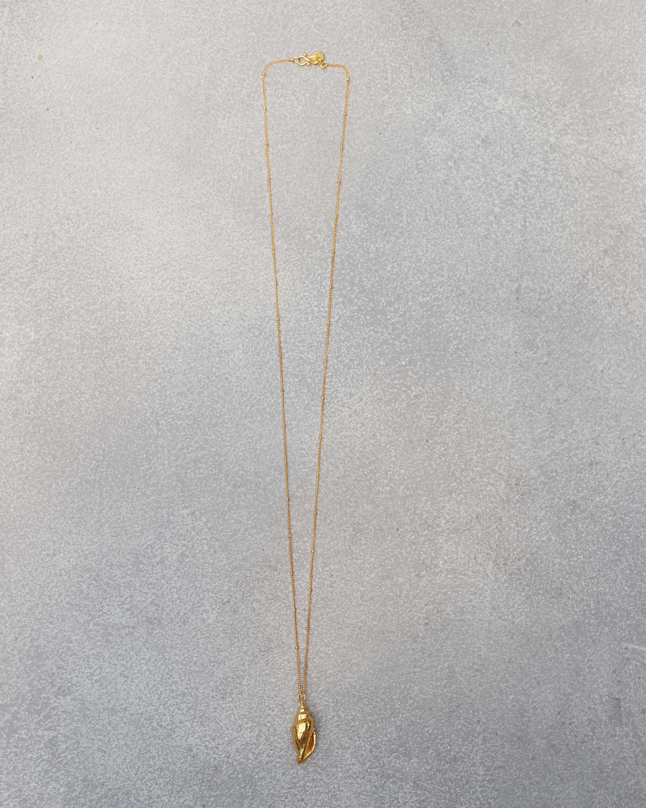 Coil Shell Charm with Chain - Gold - Image 2