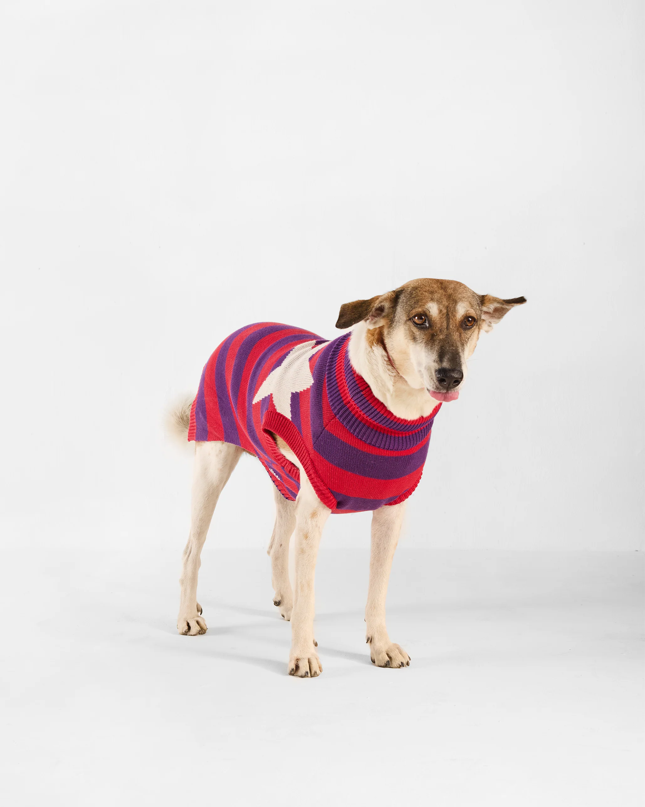 Cosmic Canine Dog Sweater - Red and purple - Image 5