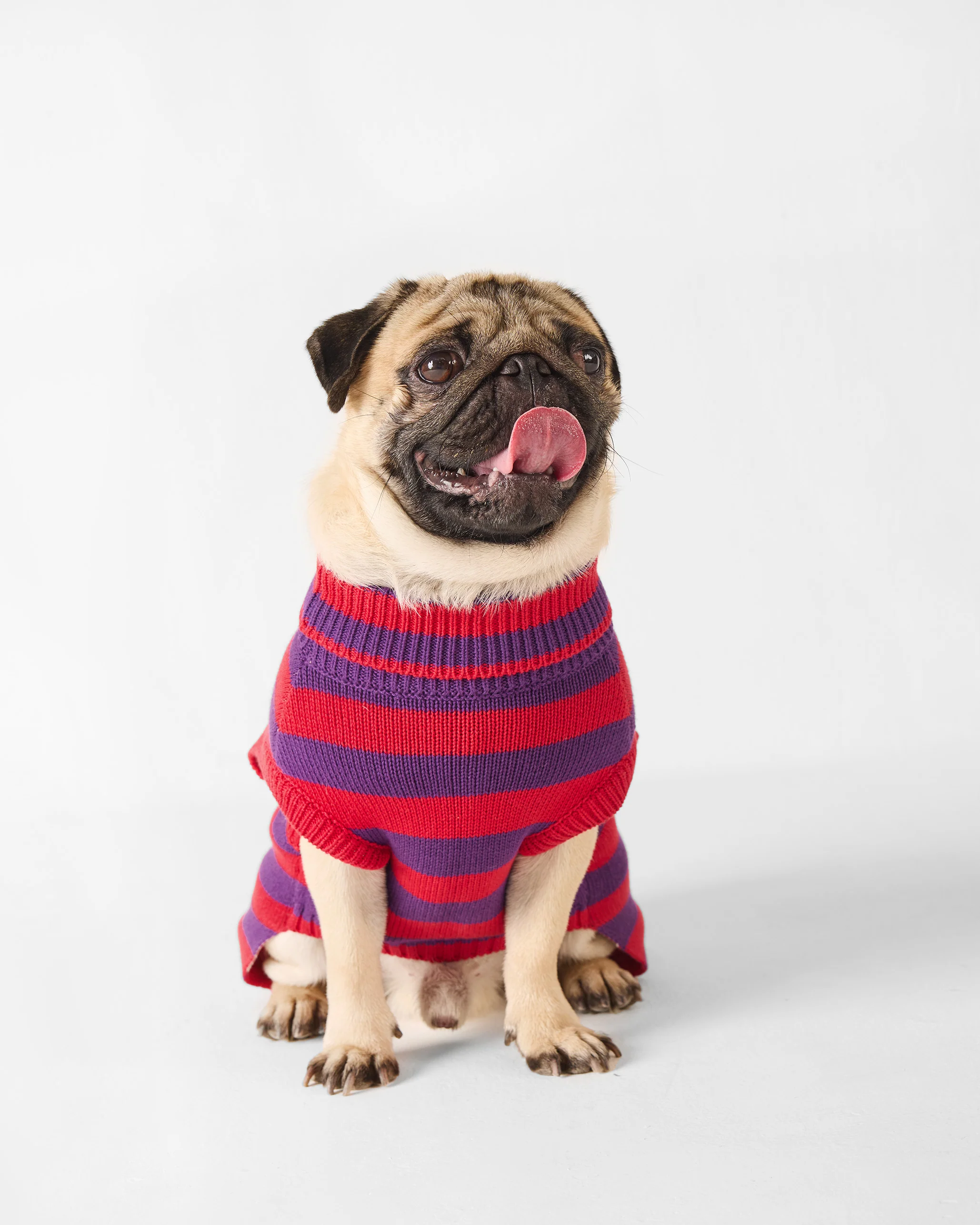 Cosmic Canine Dog Sweater - Red and purple - Image 7