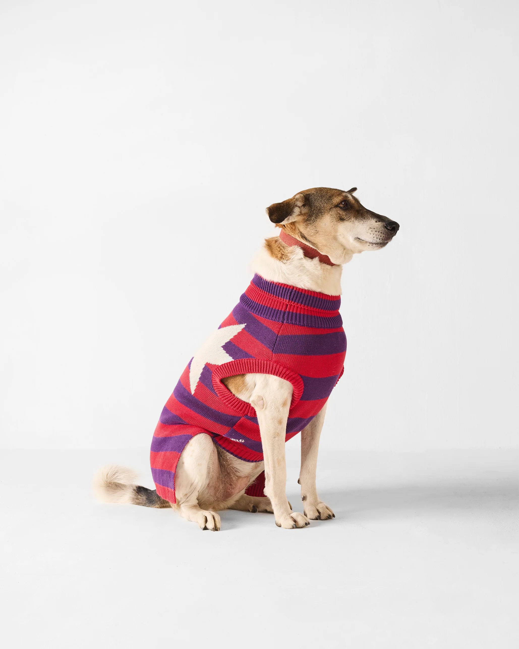 Cosmic Canine Dog Sweater - Red and purple - Image 8