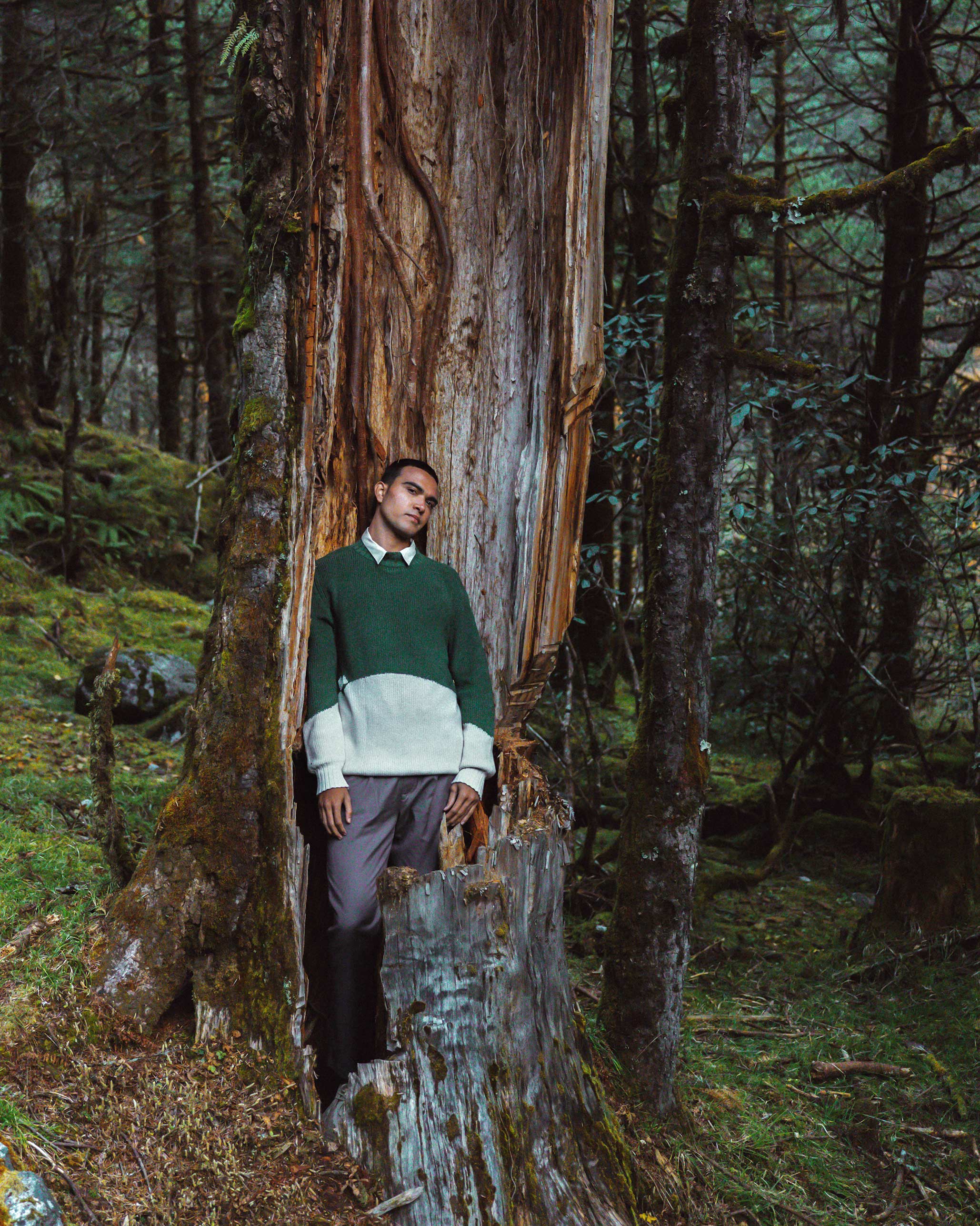 Crew Neck Sweater - Green & Ivory - Image 10