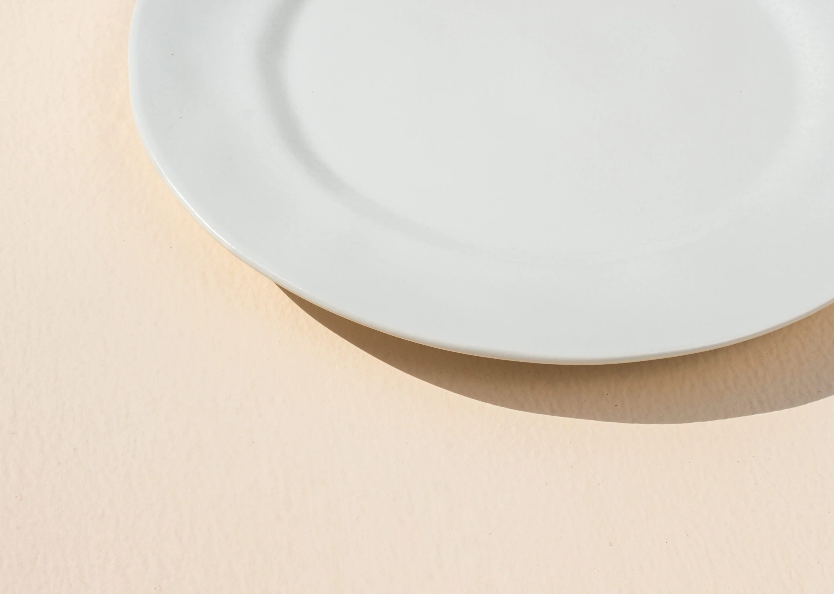 Desert Dawn Dinner Plate - Ivory - Image 3