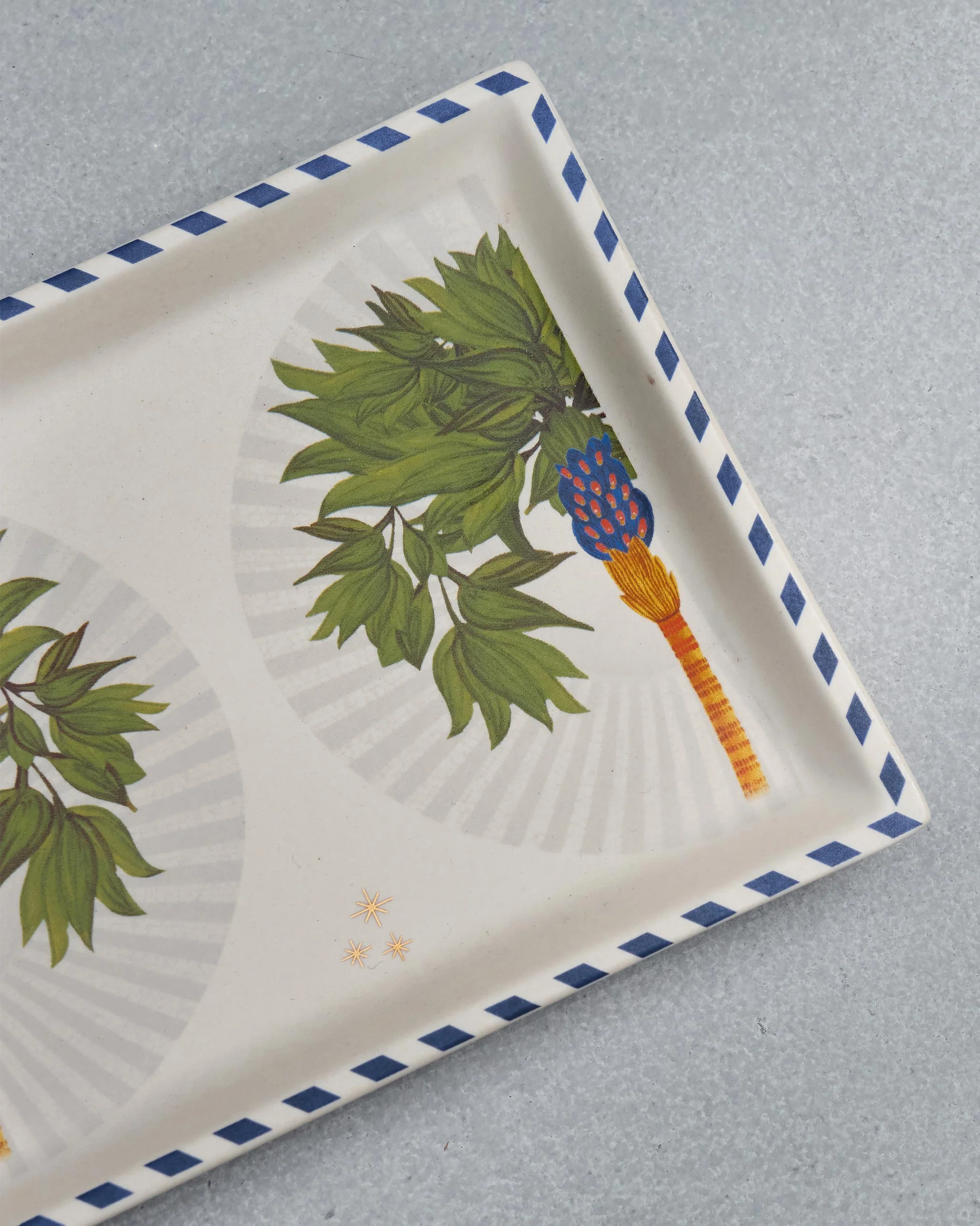 Desert Trail Cookie Tray with Tong - Image 4