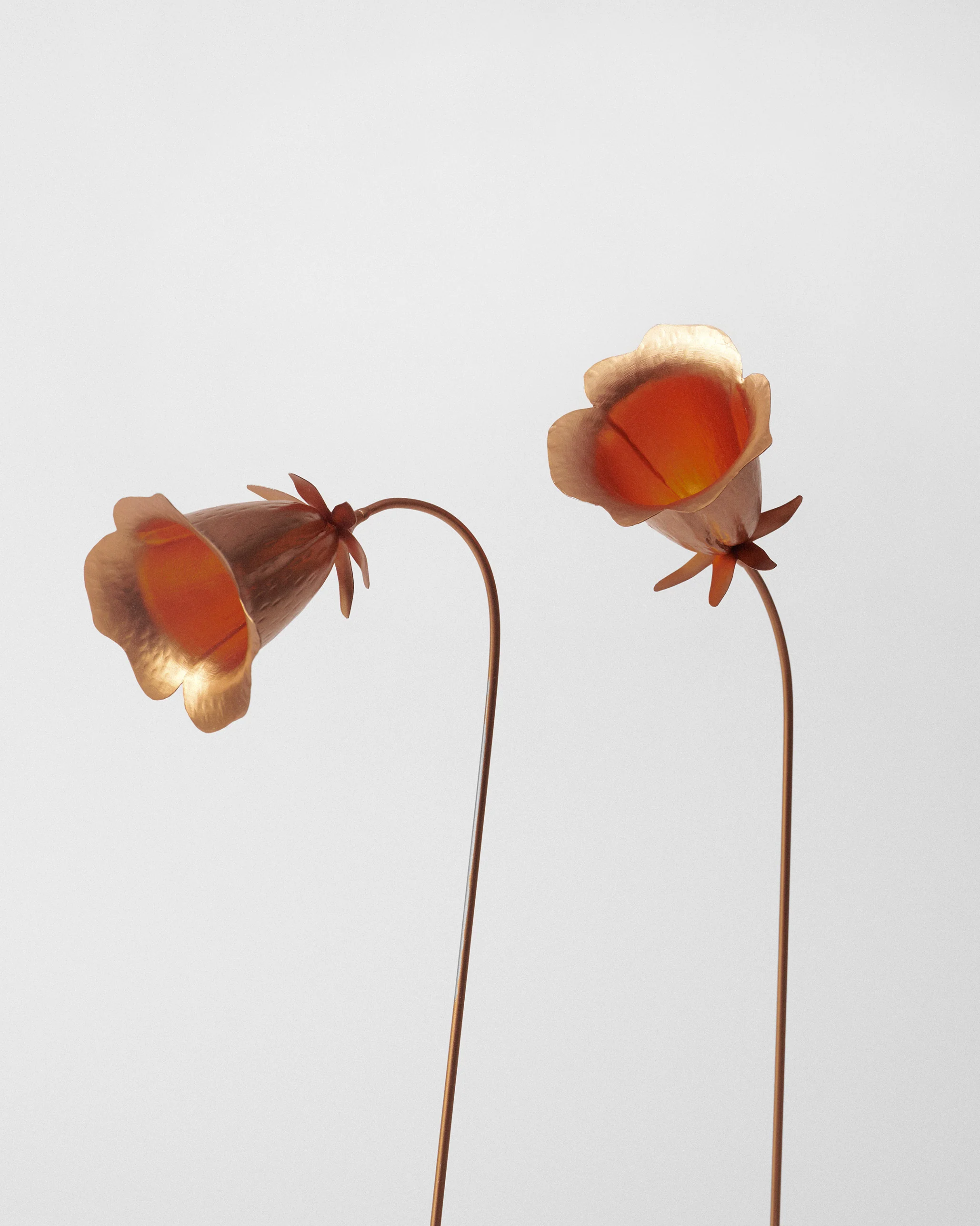 Dusk Accent - Set of 2 - TSSxNB - Image 5
