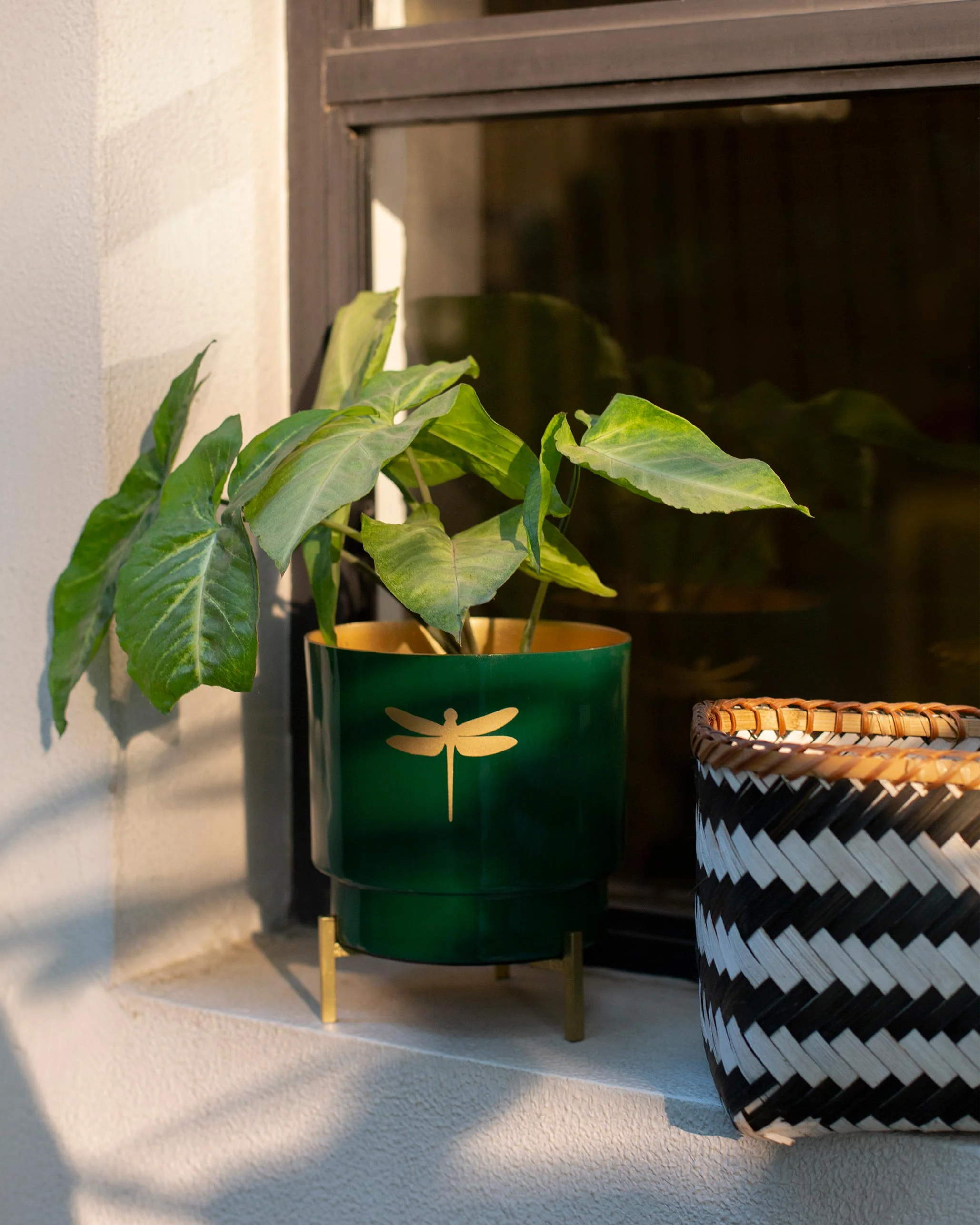 Emerald Dragonfly Planter - Image 2