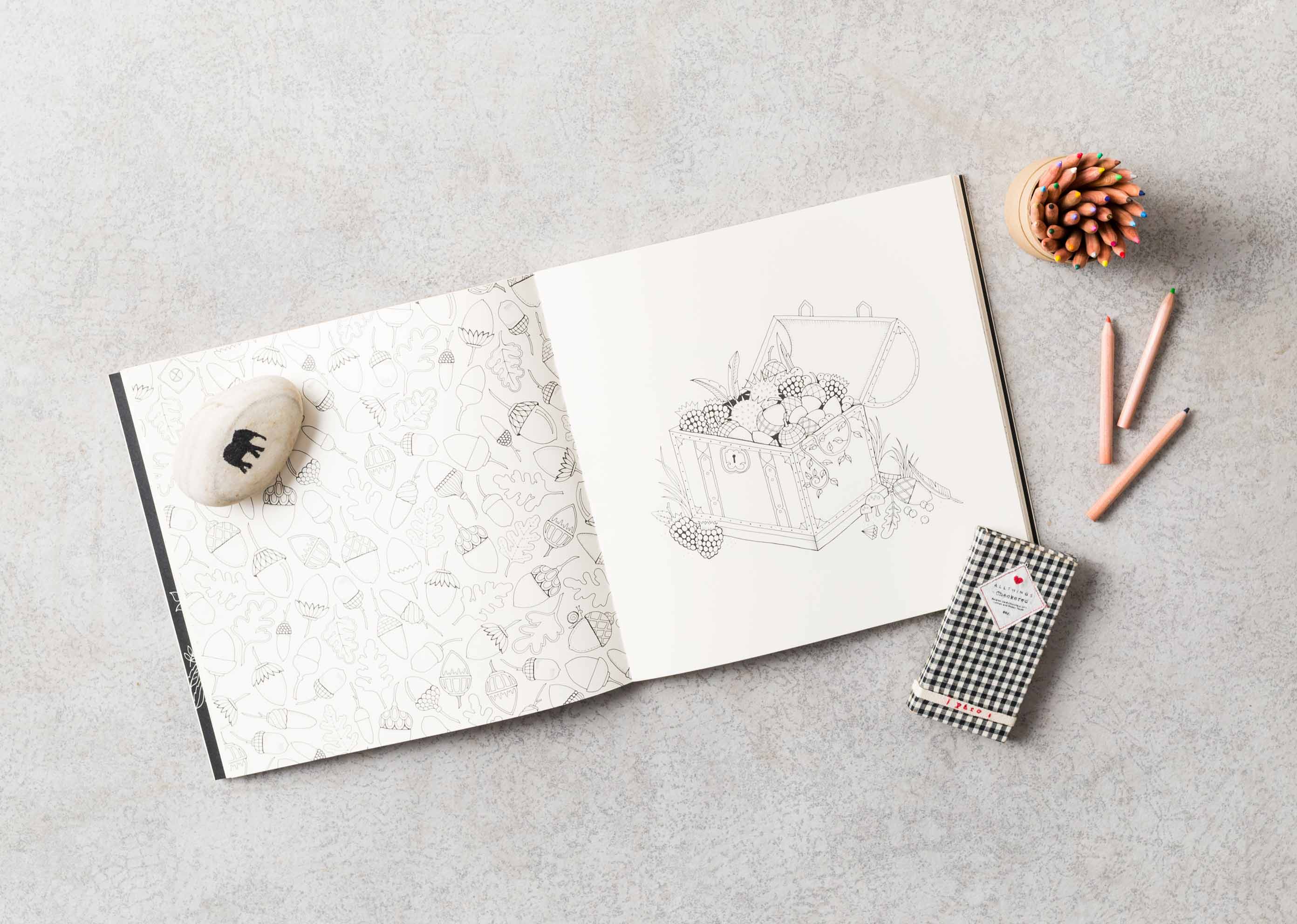 Enchanted Forest: An Inky Quest & Colouring Book - Image 5