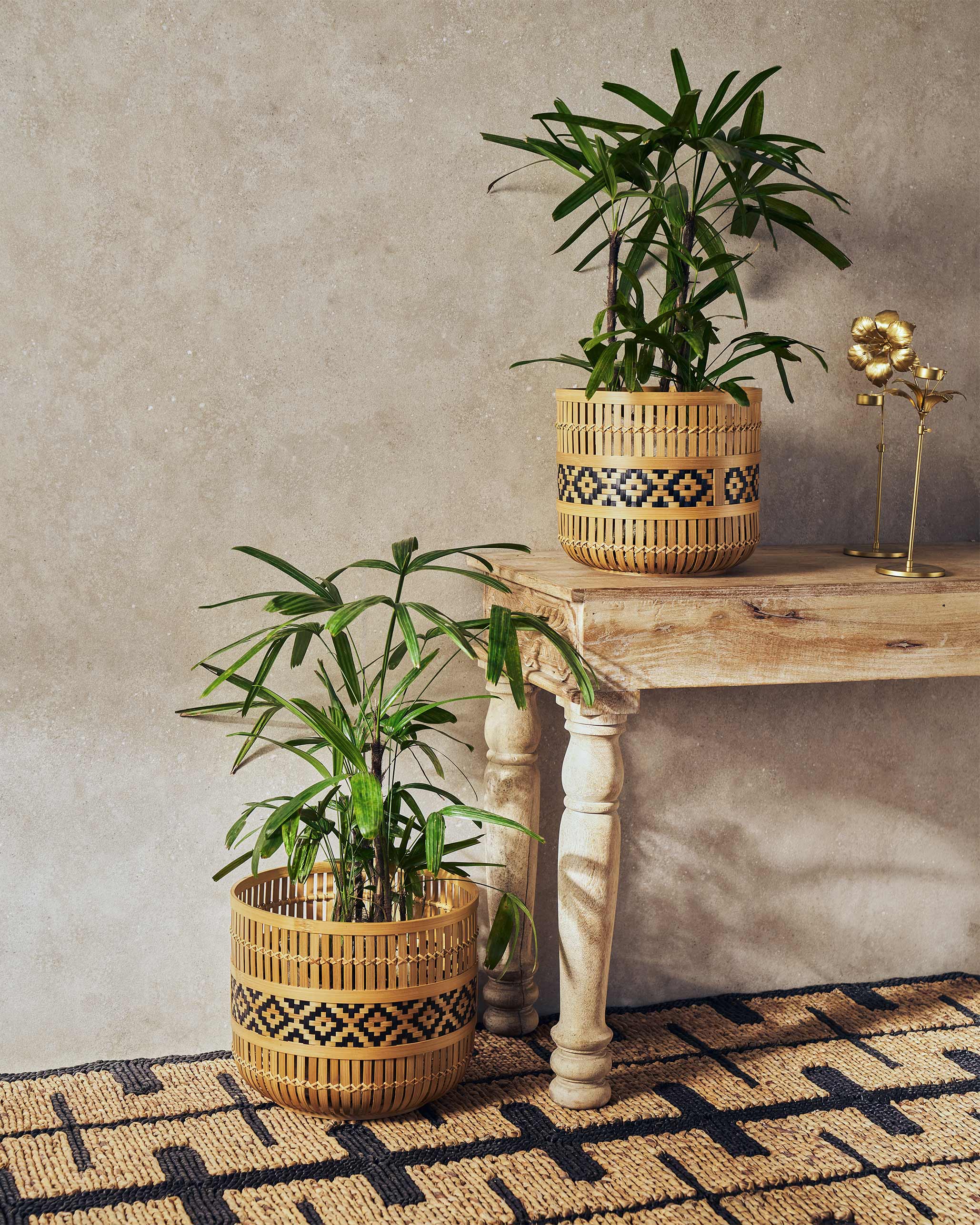 Fez Planter - Medium - Image 2
