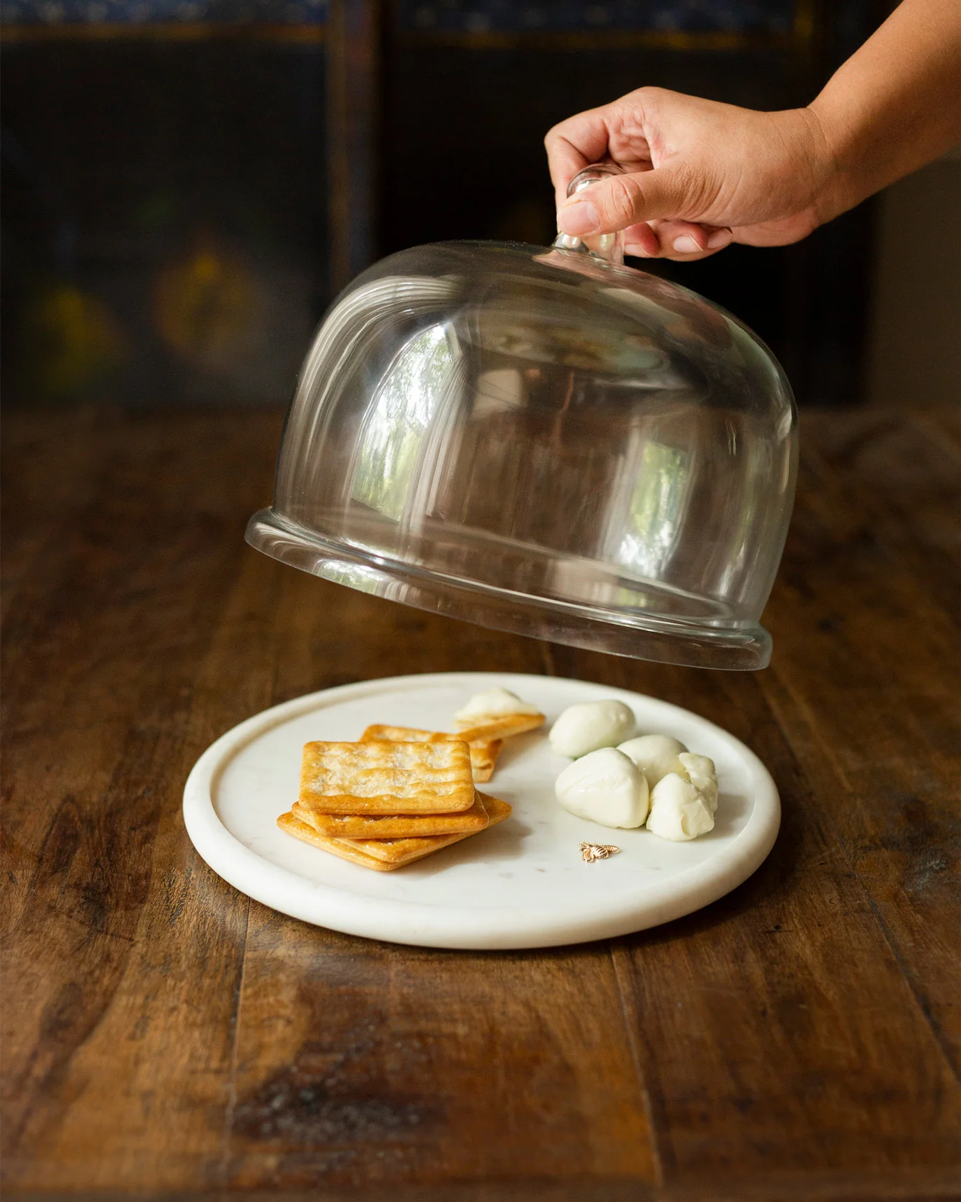 Firefly Cheese Cloche - White - Image 3