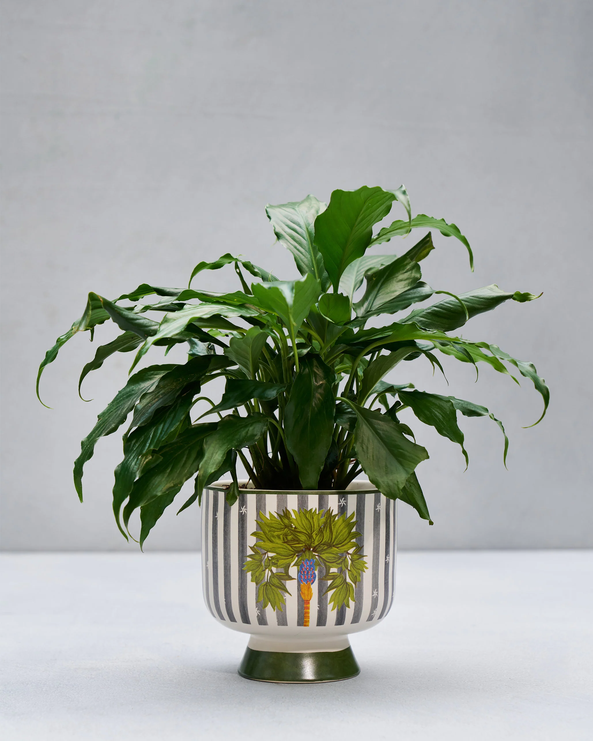 Foliage Planter - Image 4