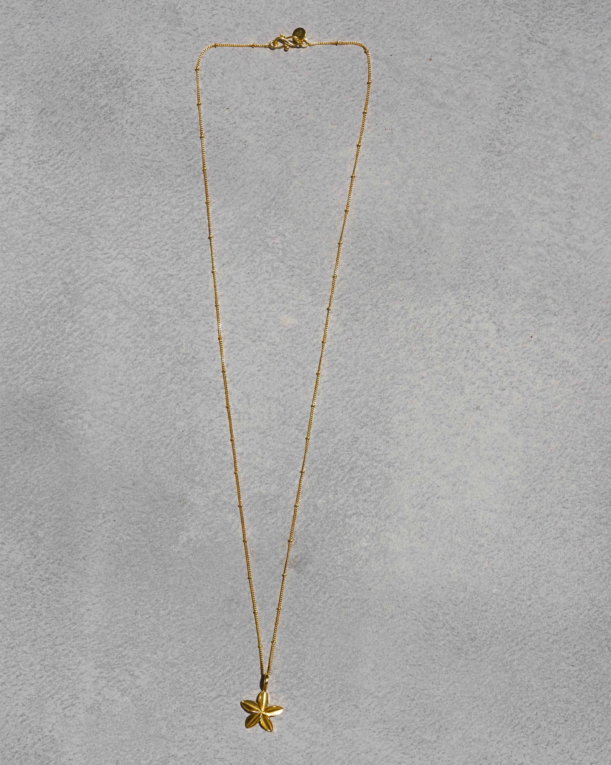 Frangi Charm with Chain - Gold - Image 2