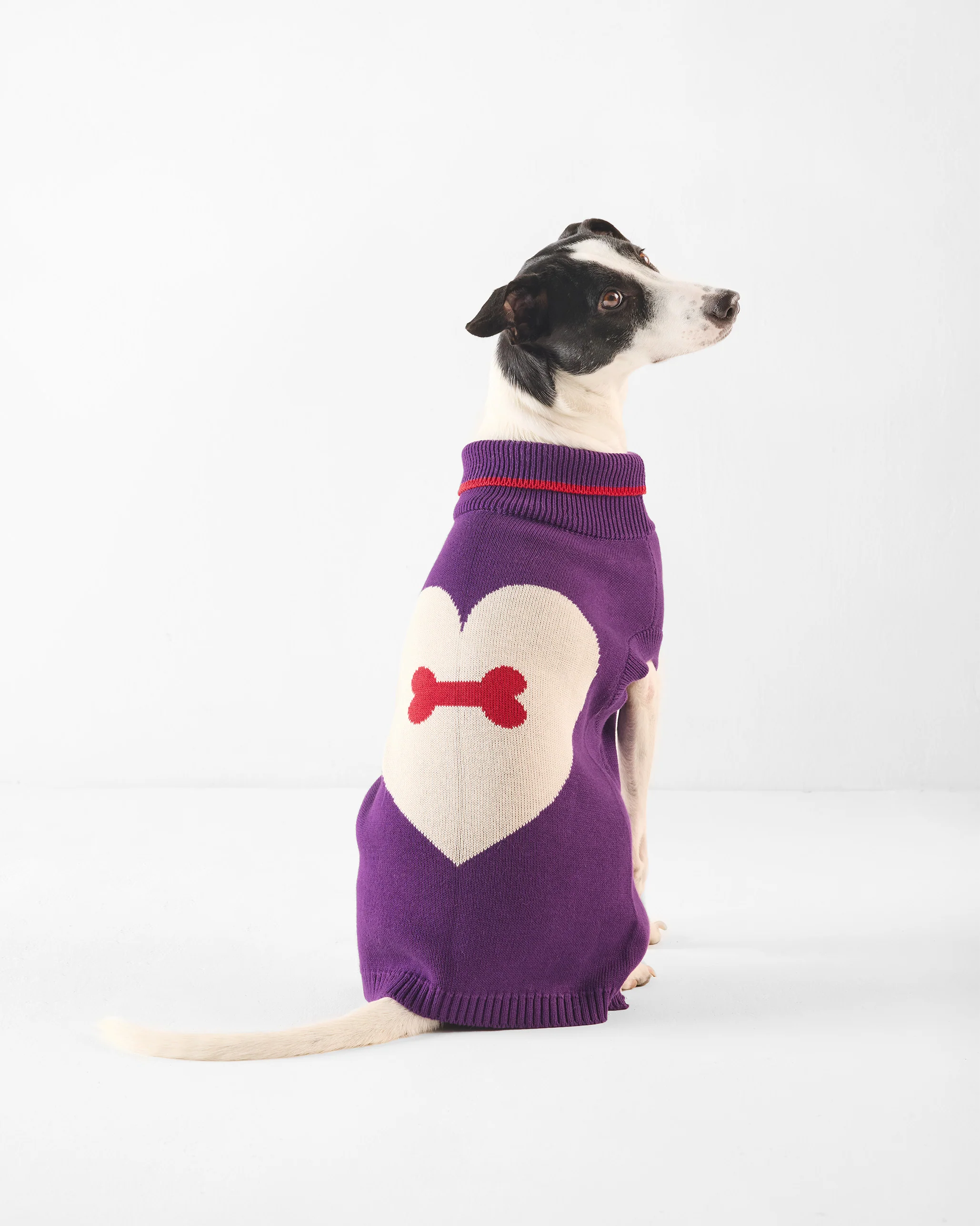 Fur-ever Dog Sweater - Purple - Image 10