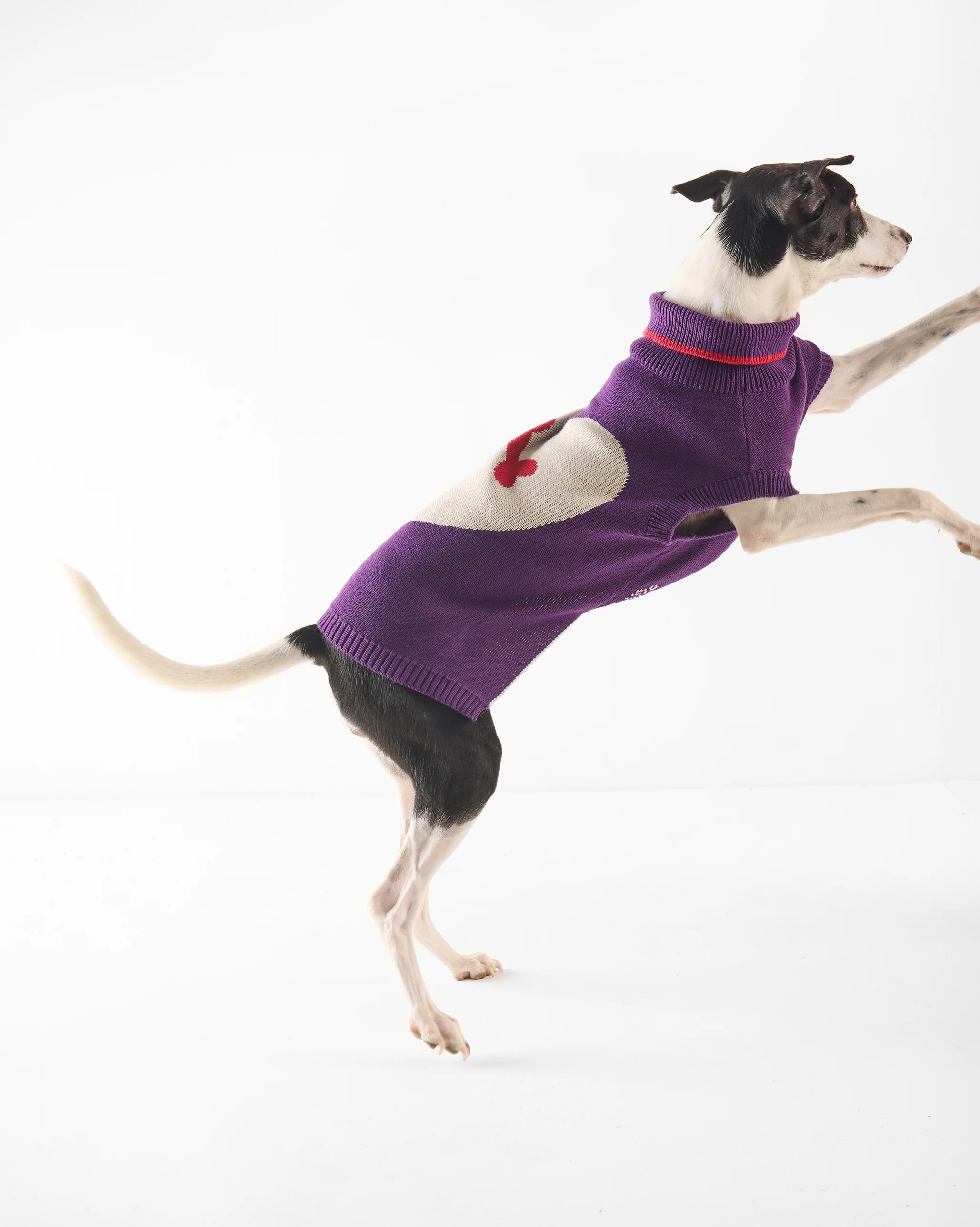 Fur-ever Dog Sweater - Purple - Image 6