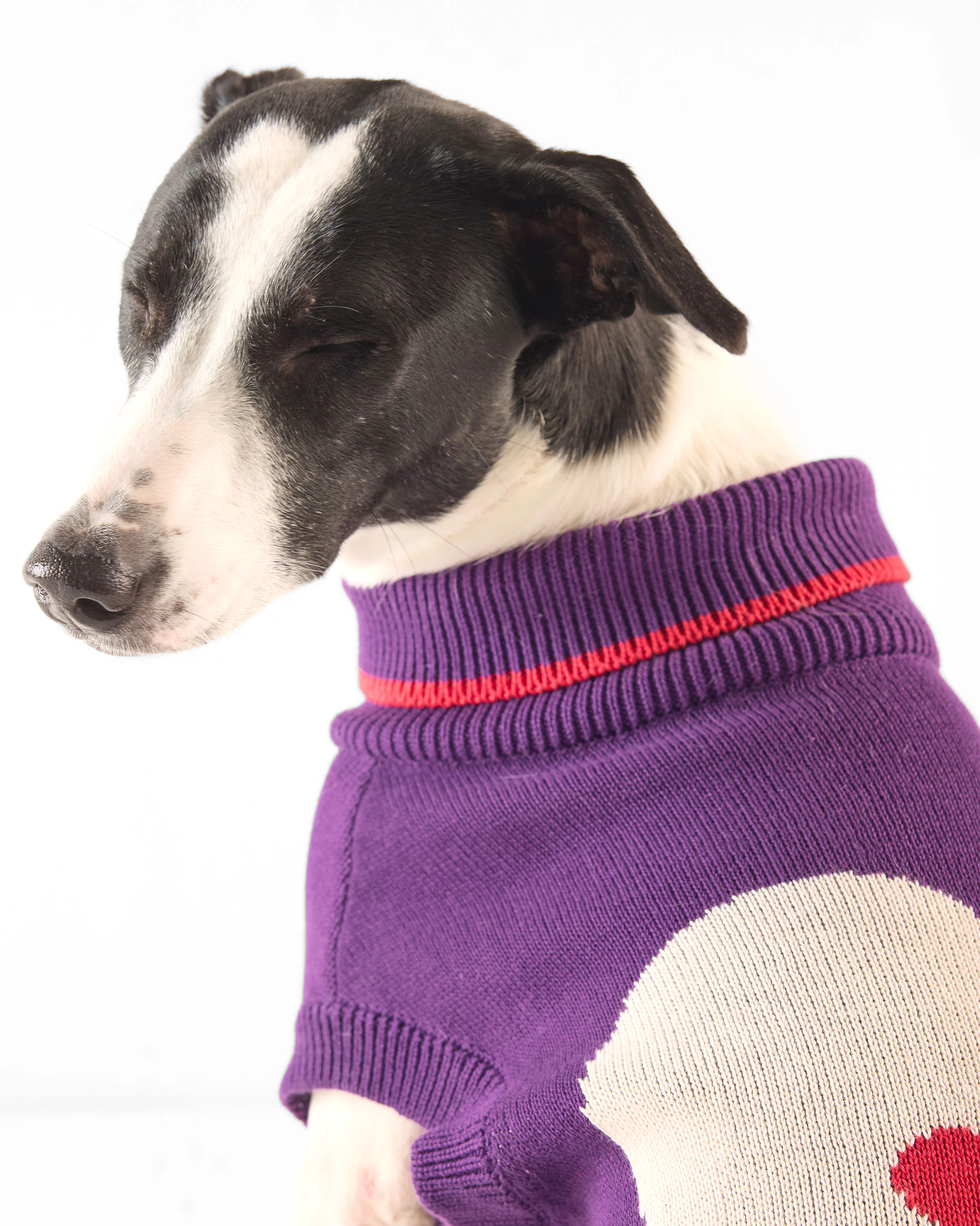 Fur-ever Dog Sweater - Purple - Image 7
