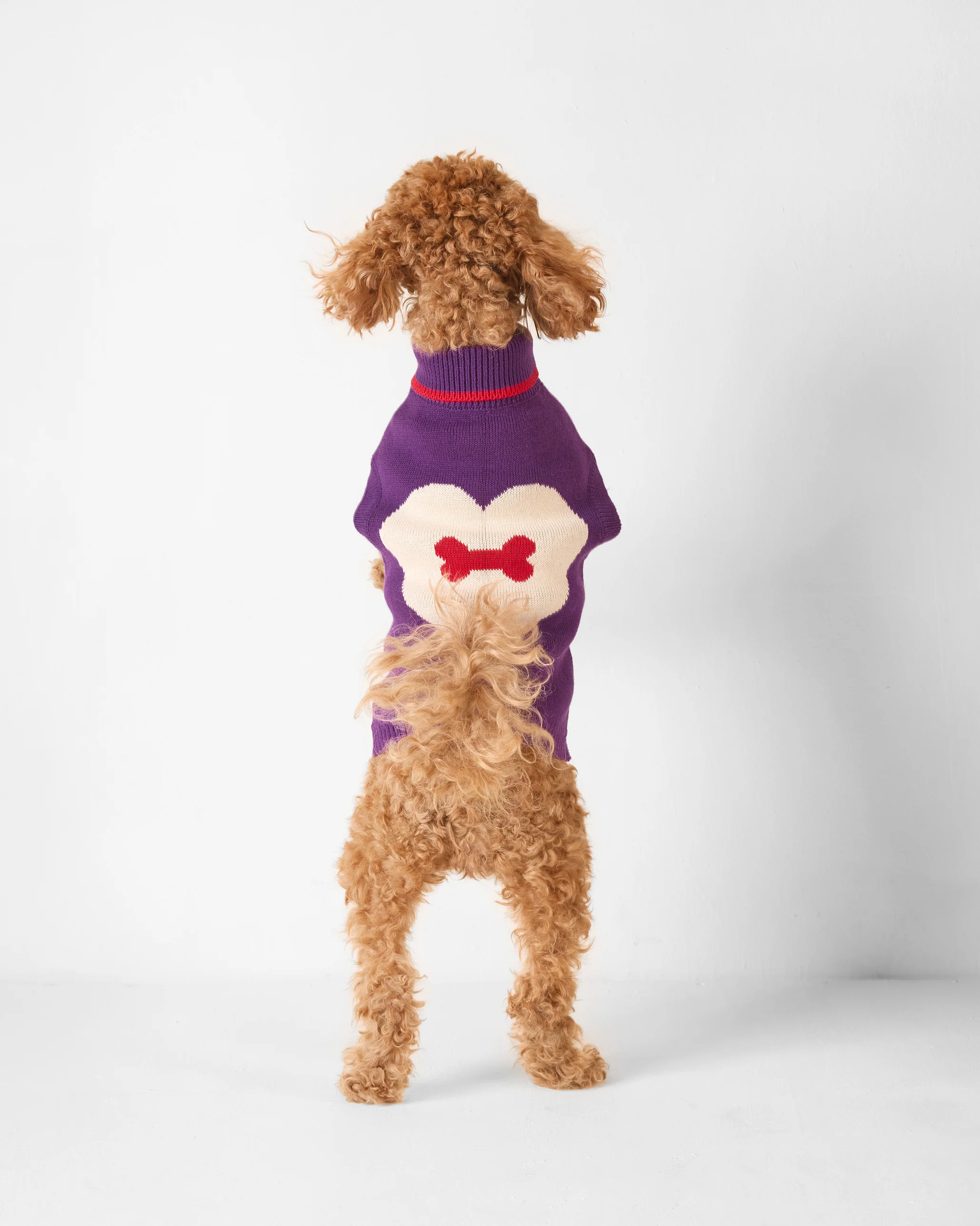 Fur-ever Dog Sweater - Purple - Image 9