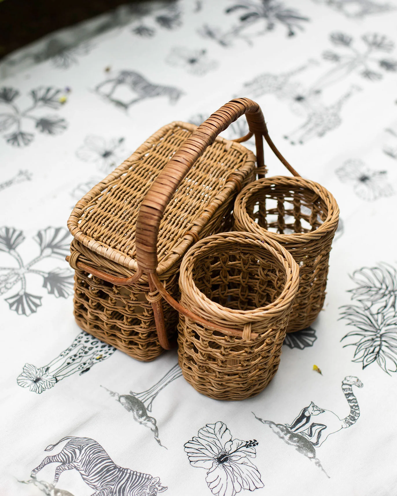 Godavari Picnic Basket - Image 2