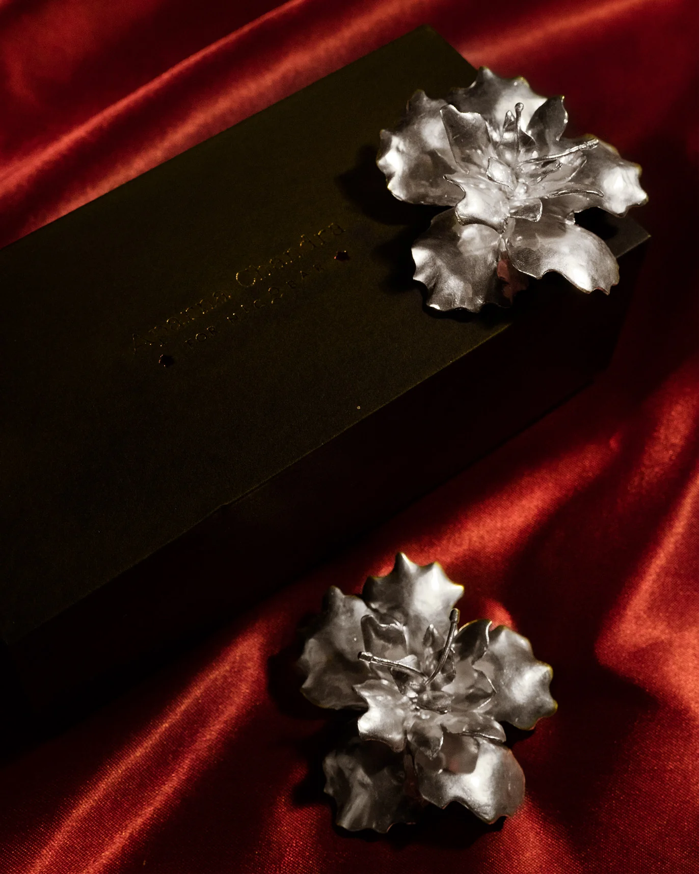 Gudhal Earrings - Silver - Image 4