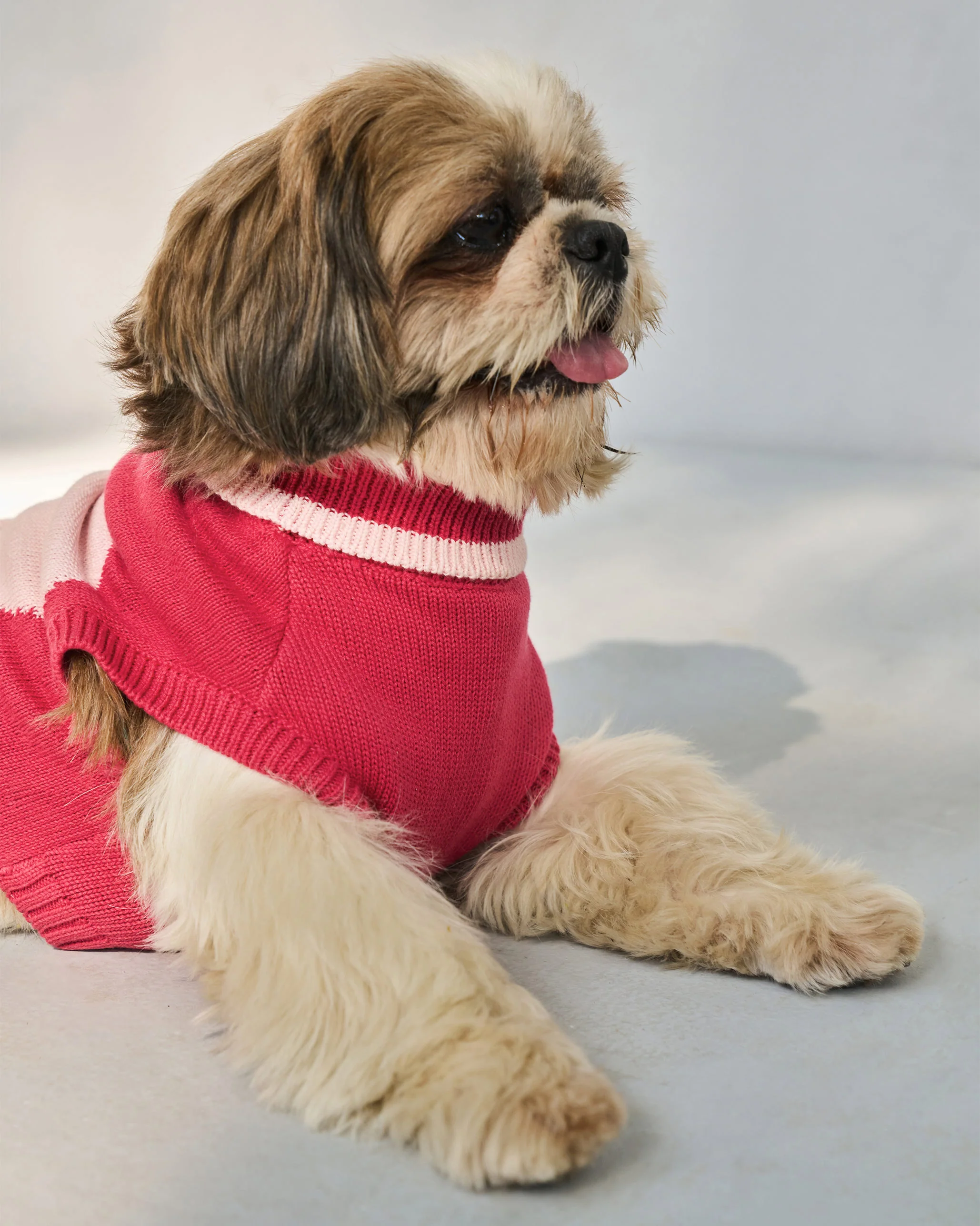 Heart Snug Dog Sweater - Blush Red & Baby pink - Image 2