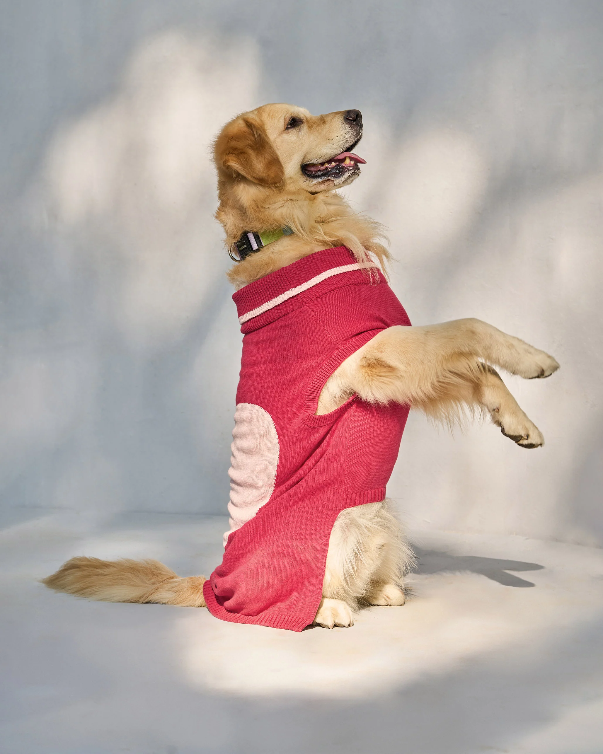 Heart Snug Dog Sweater - Blush Red & Baby pink - Image 4