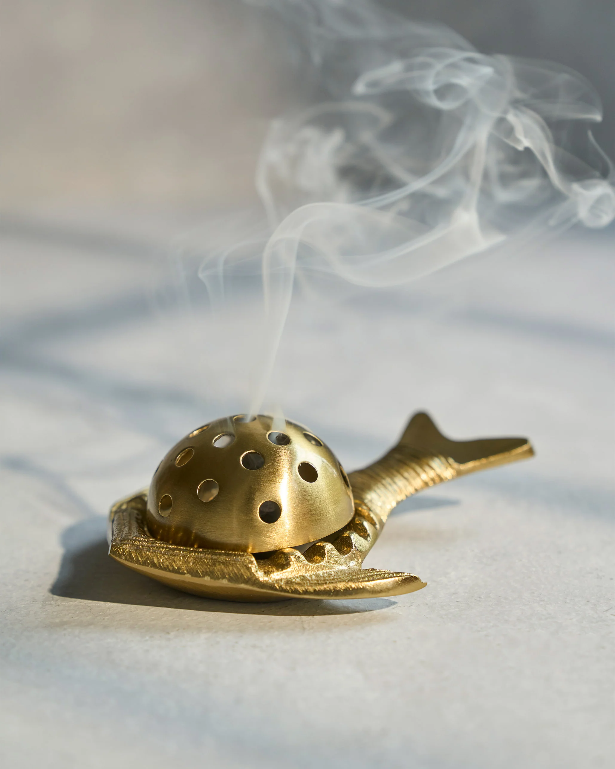 Ikan Dhuna - Image 7