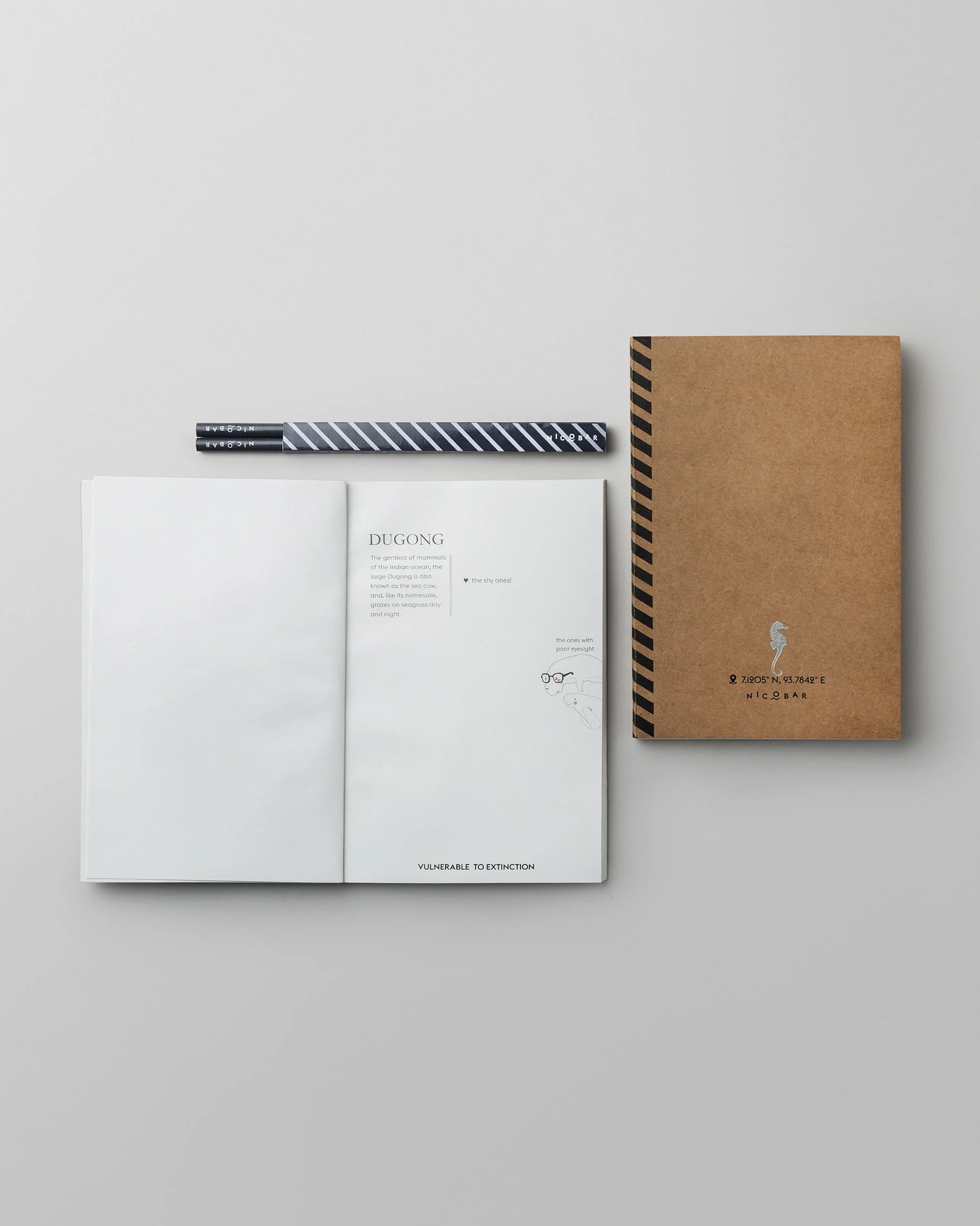 Island Scribble Kit (Set of 2) - Image 2
