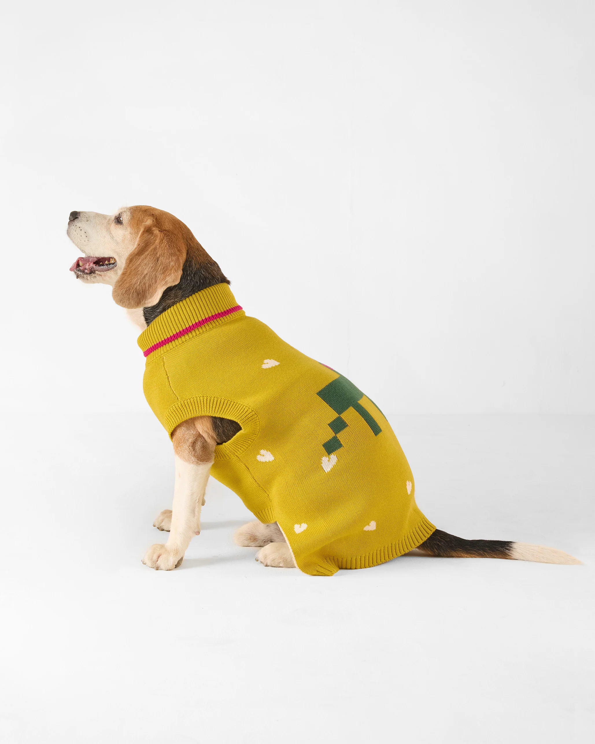 Jurassic Bark Dog Sweater - Chartreuse - Image 5