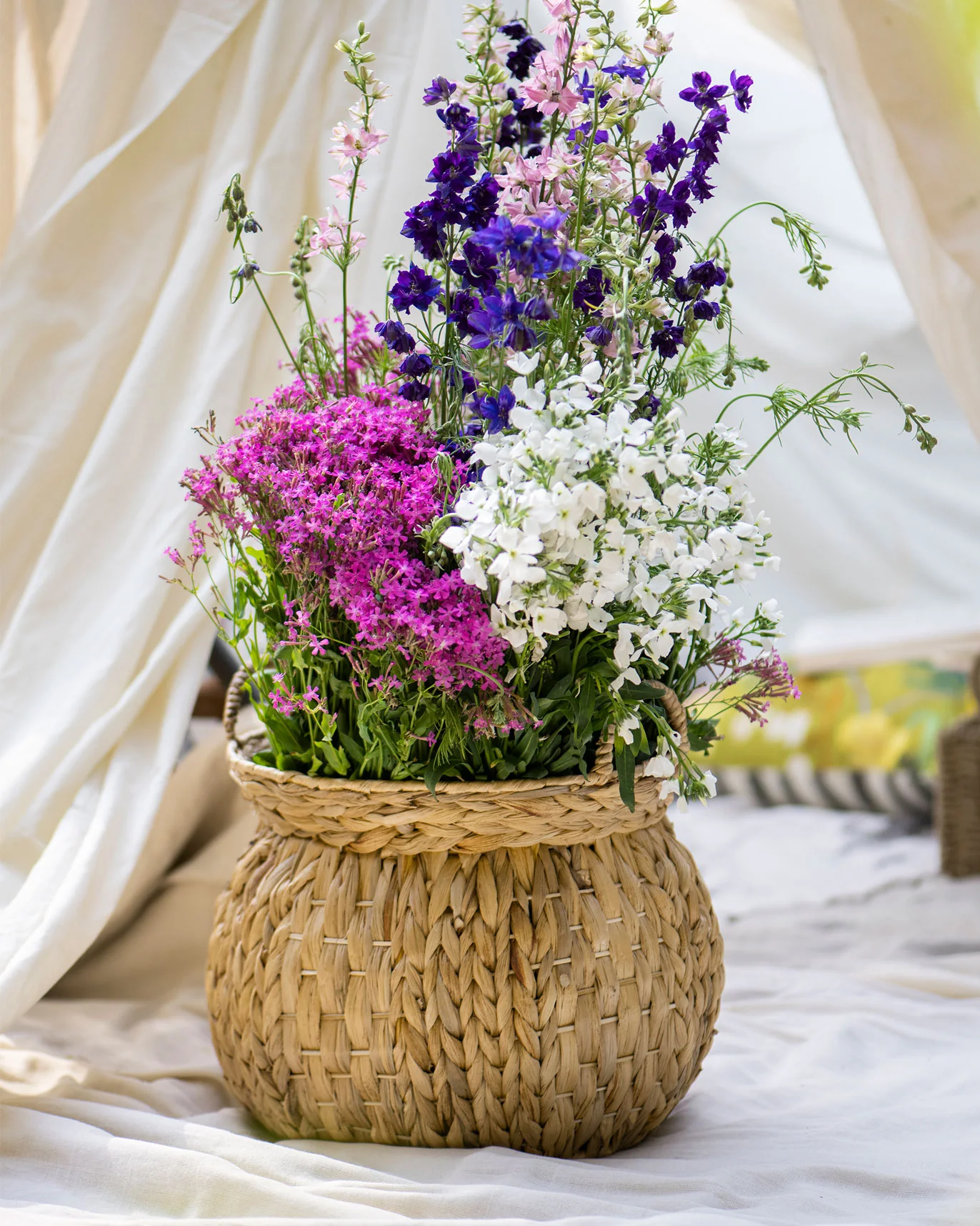 Khasi Planter - Image 2
