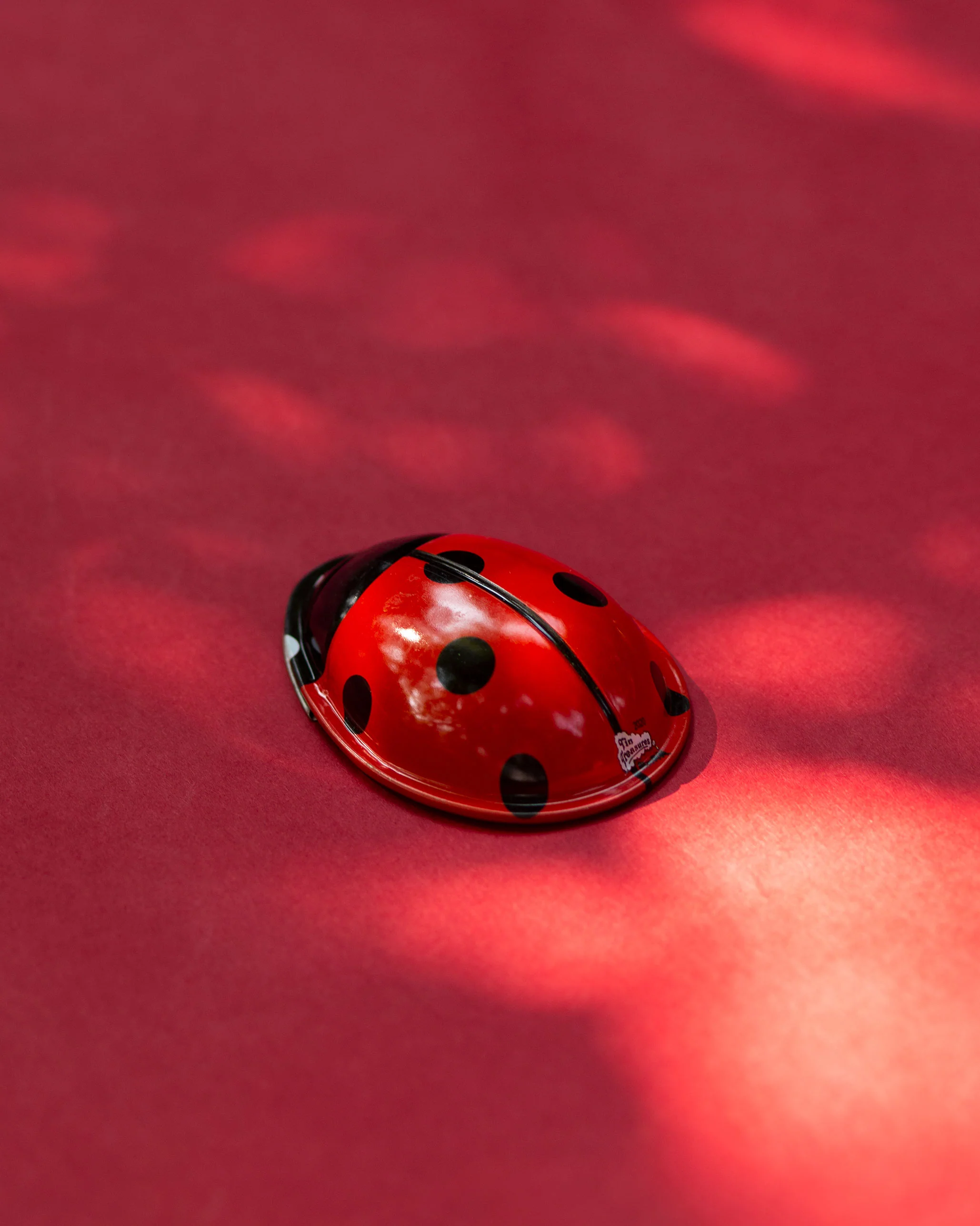 Lady Bug Clicker Toy - Image 3