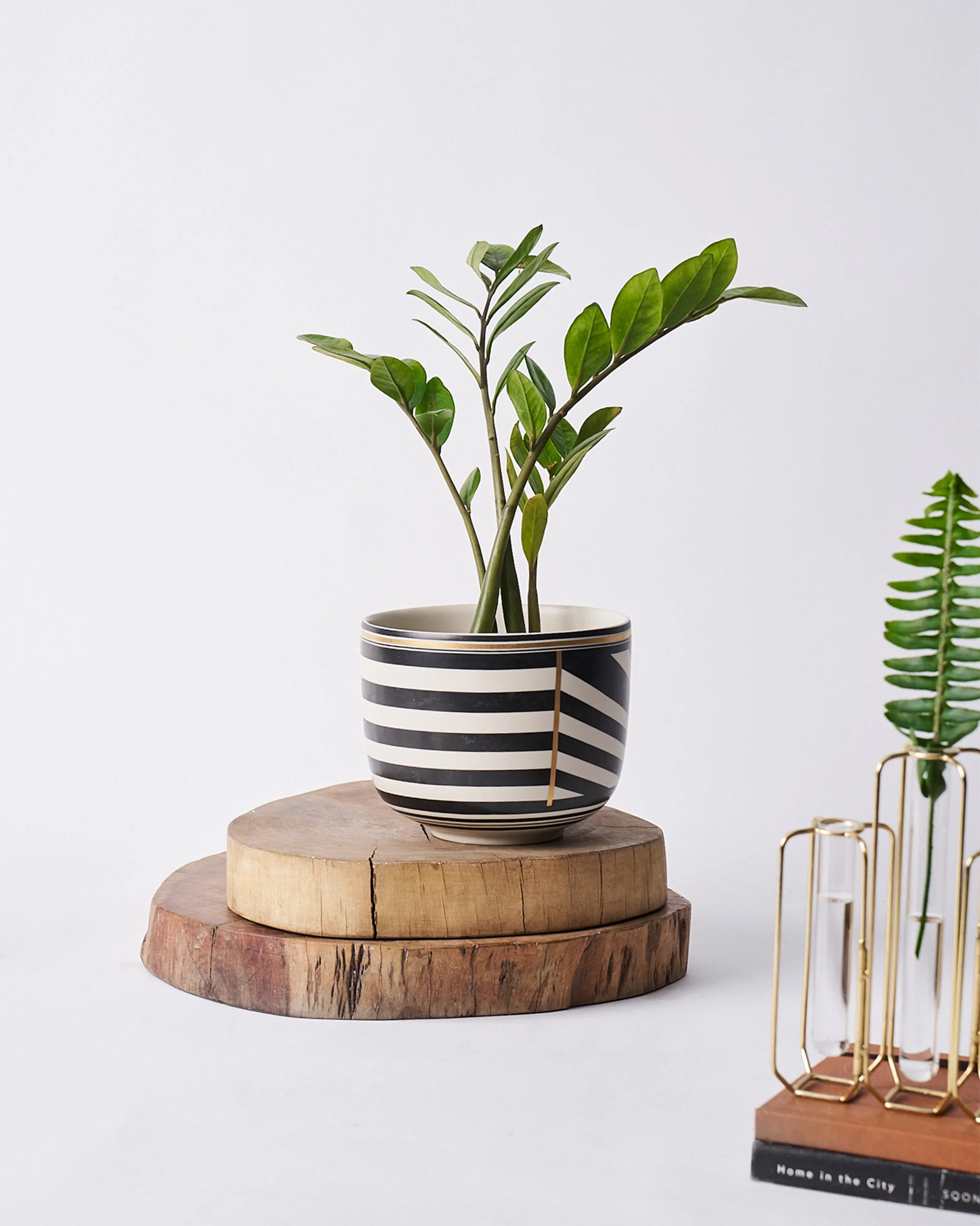 Linea Vase - Image 5