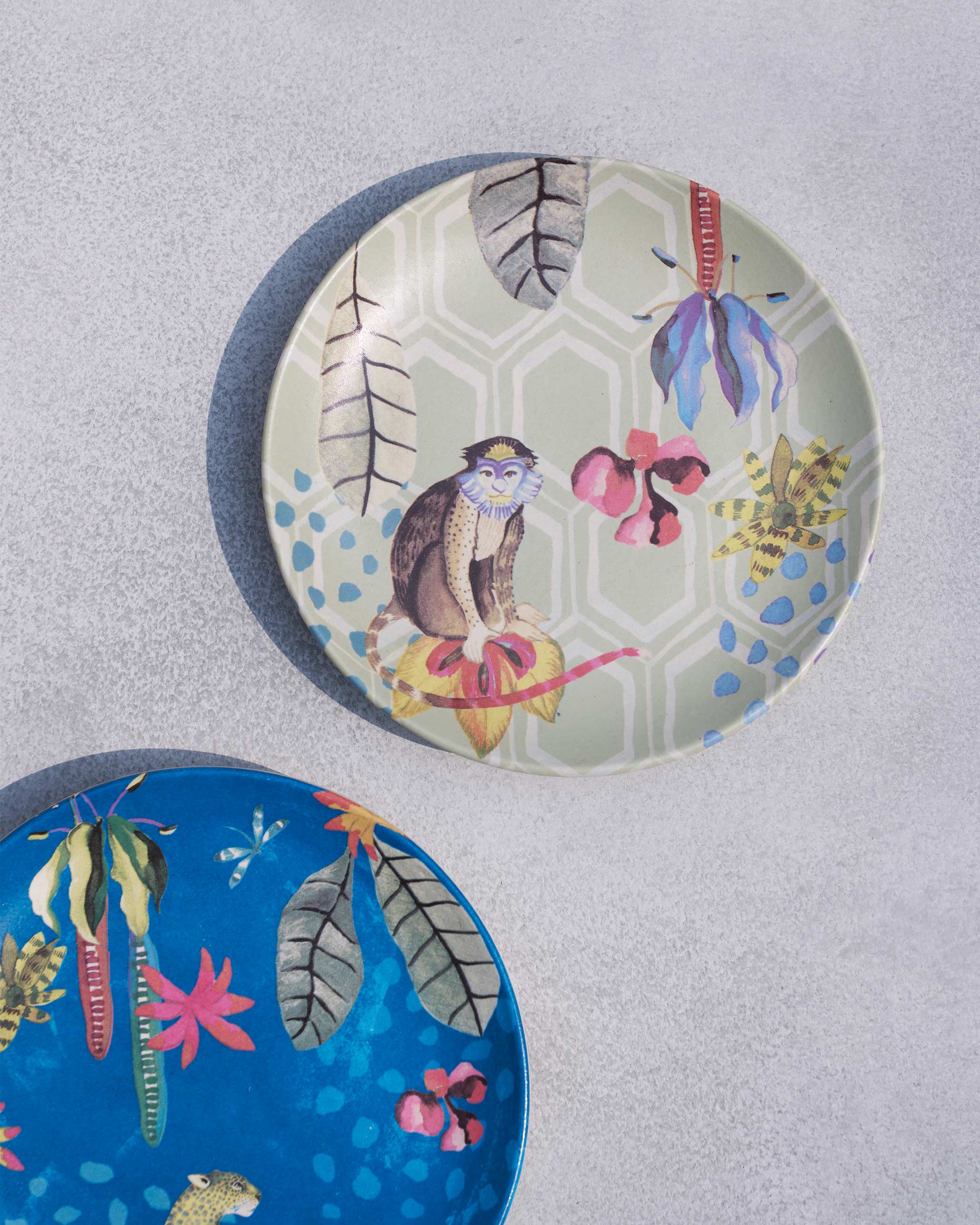 Mahi Quarter Plate (Set of 2) - Image 4