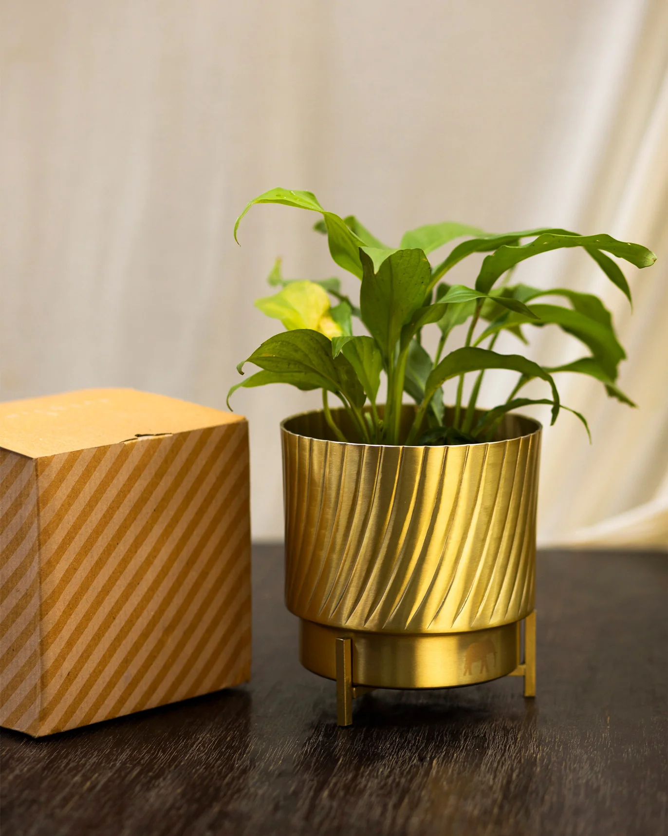 Marina Planter - Image 2