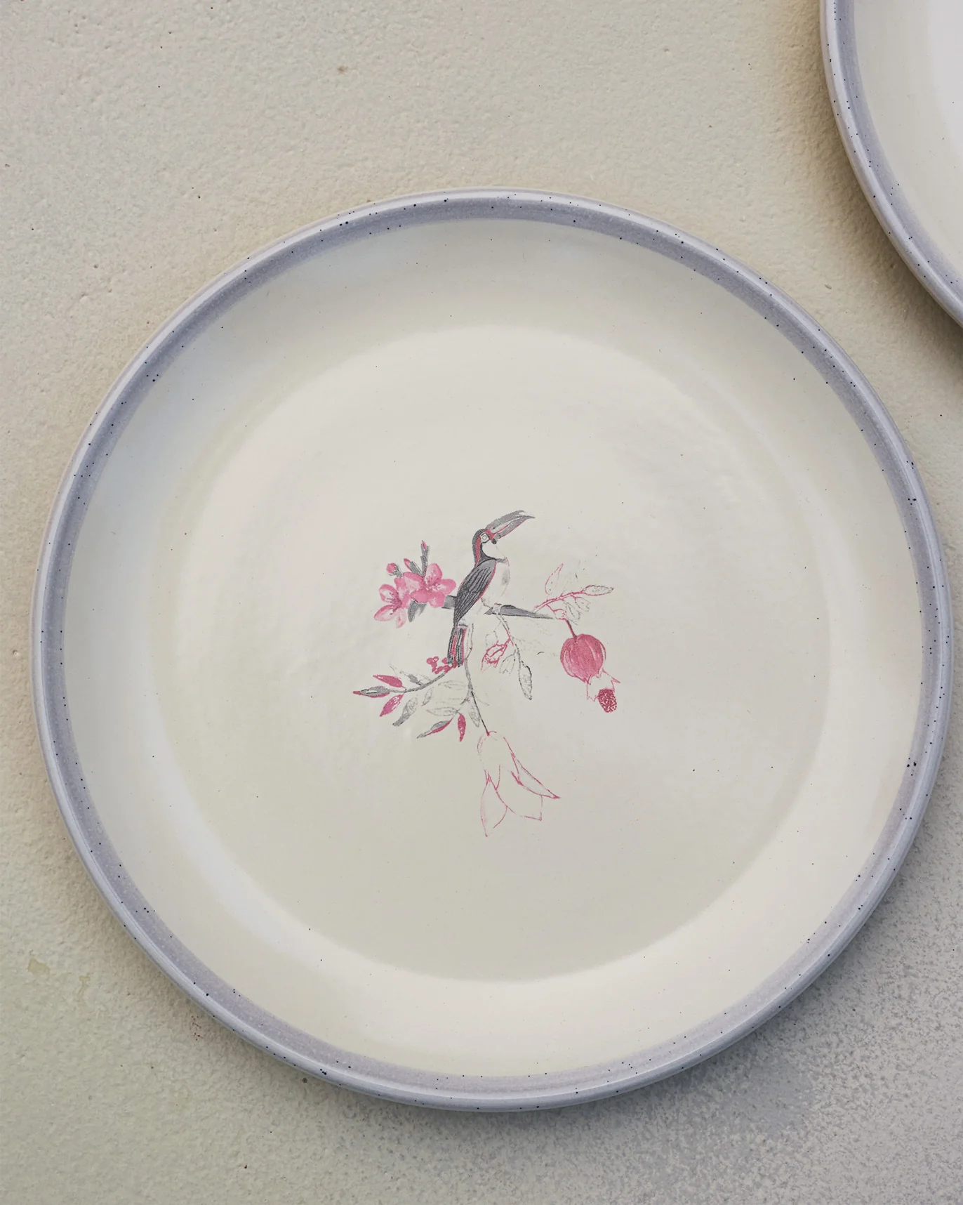 Nectar Dinner Plates (Set of 4) - Image 4
