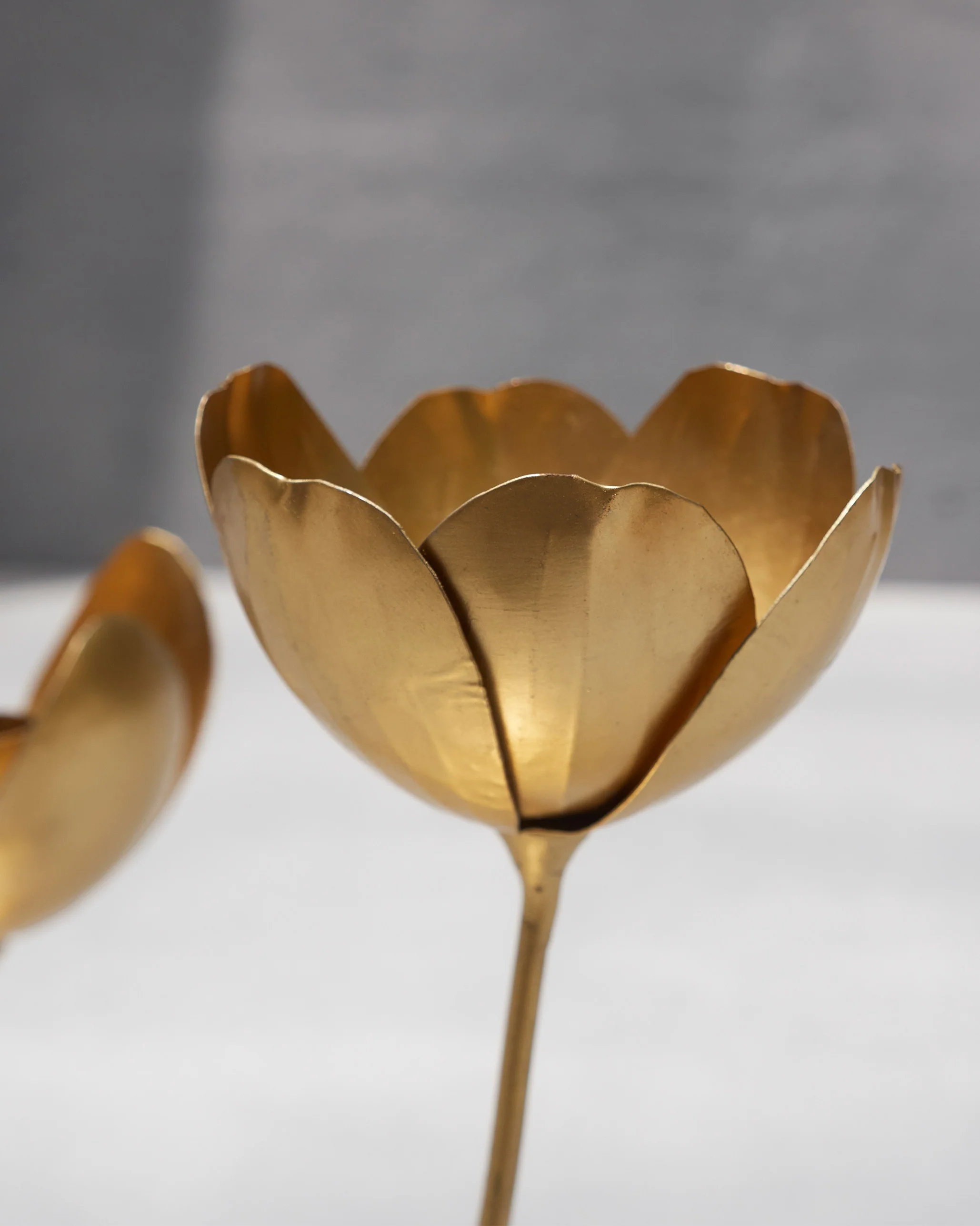 Nectar Candle Holder (Set of 2) - Image 4